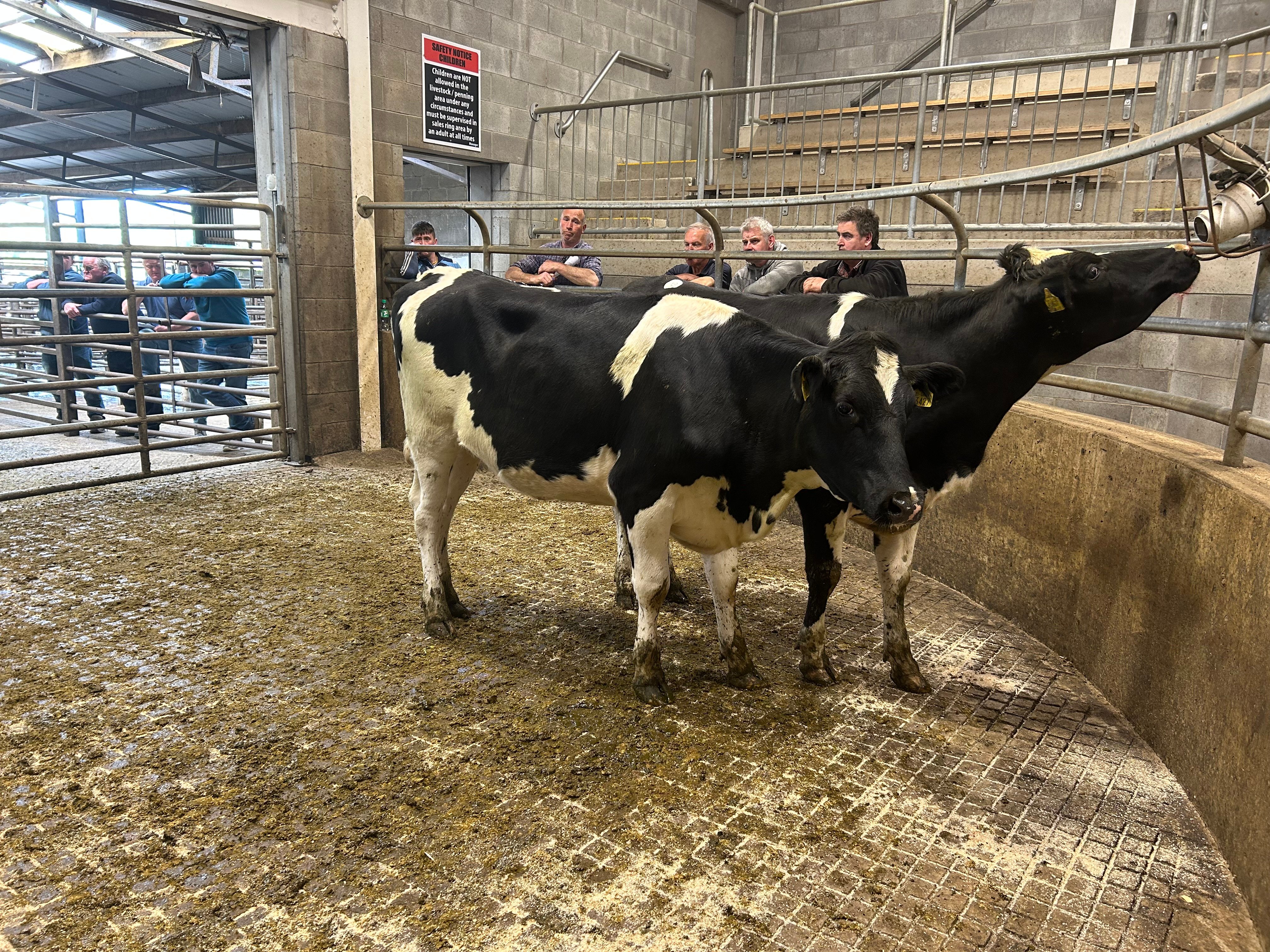 Lot 84: These sold for €800 each