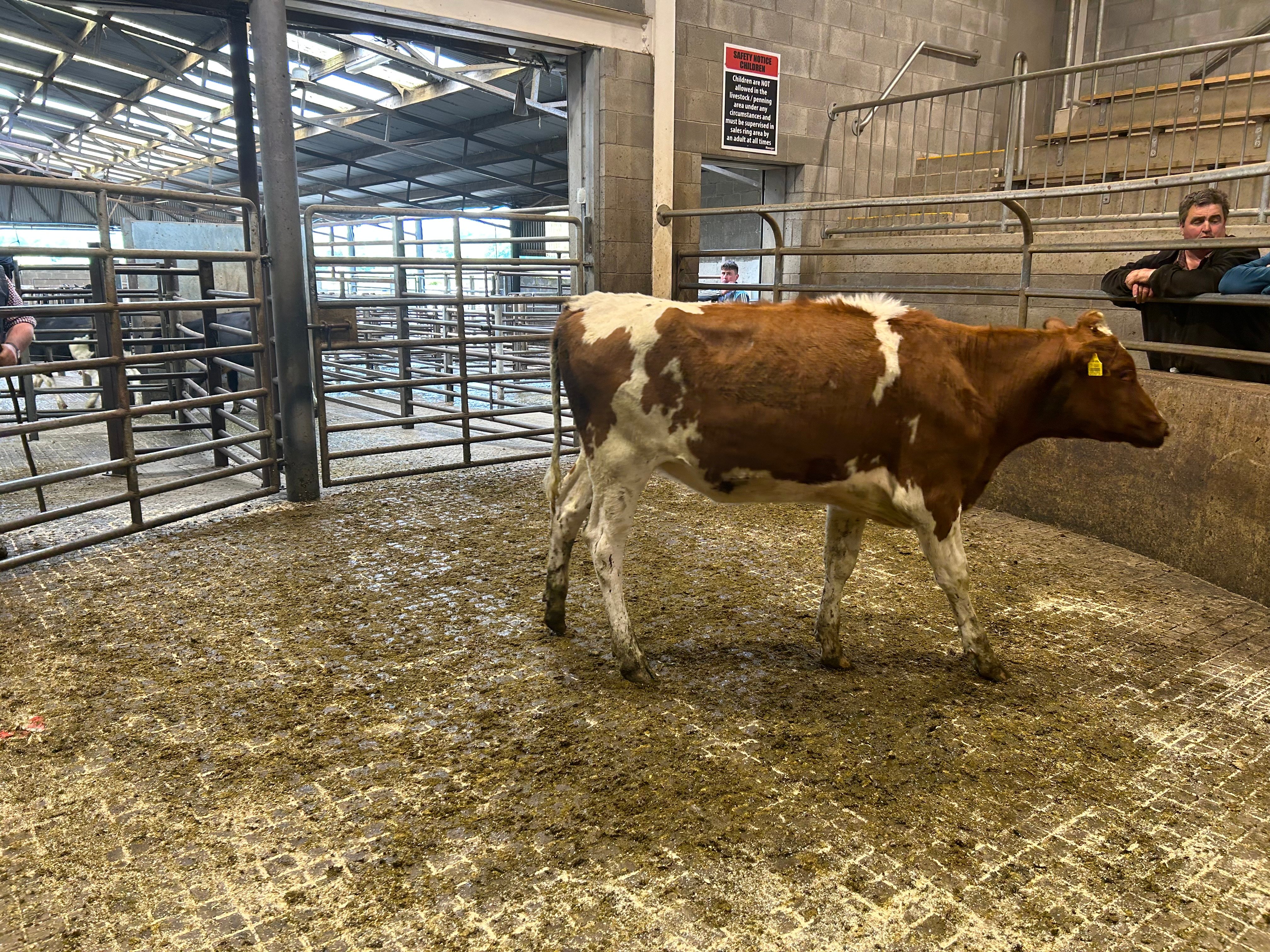 Lot 93 sold for €700