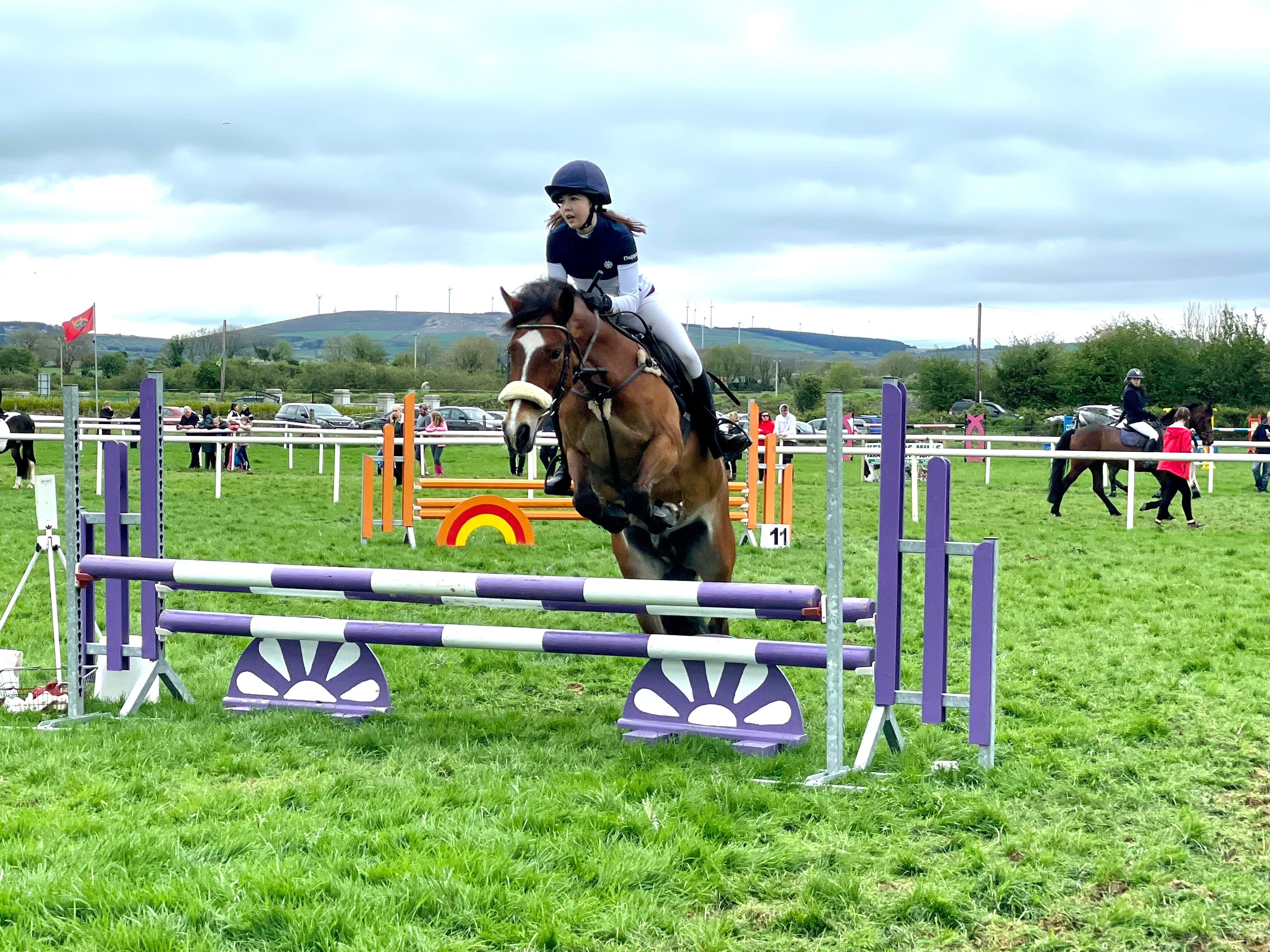 Showjumping took place on both days of the show