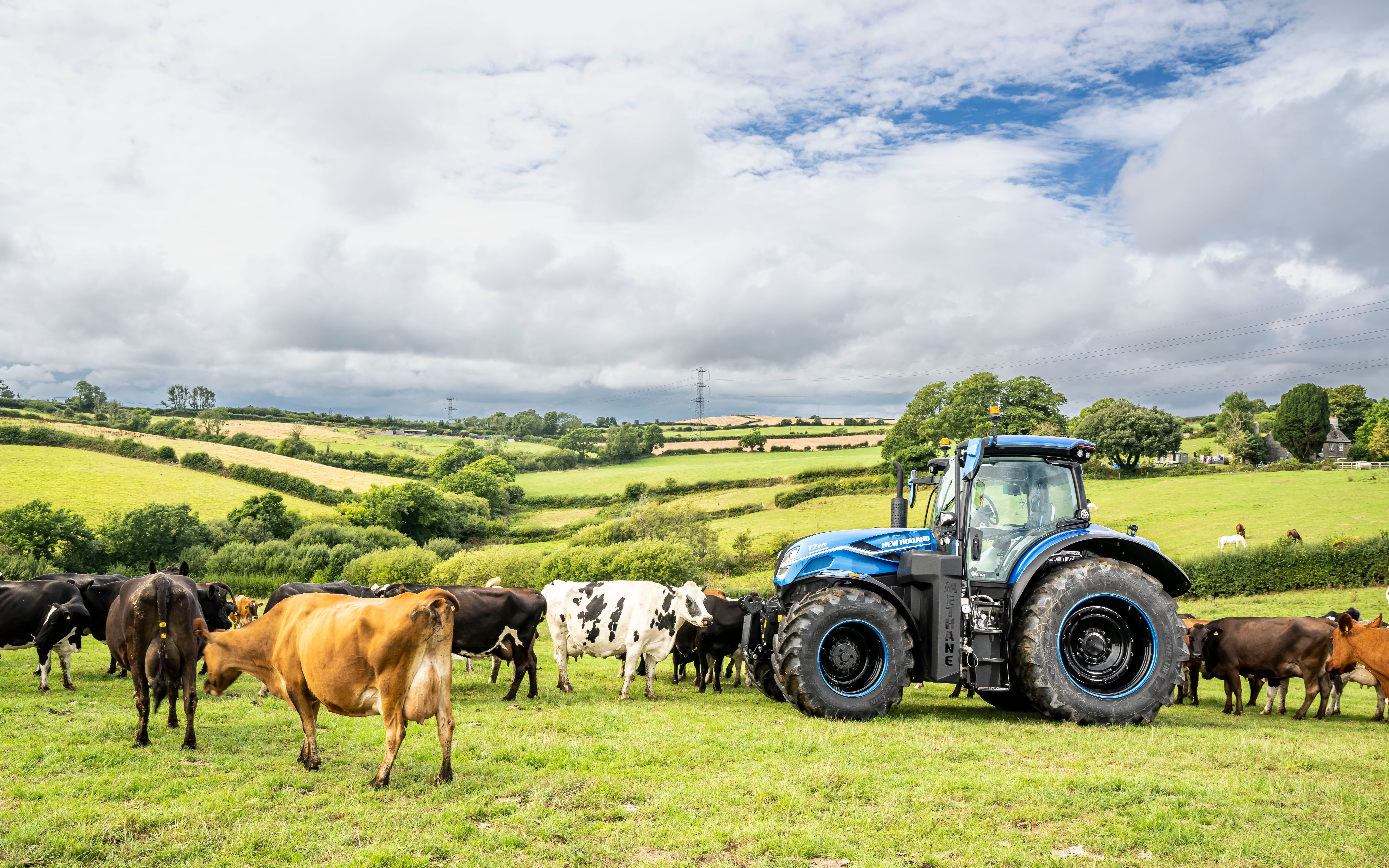 Bennamann has already established a farm with methane as its main energy source in Cornwall