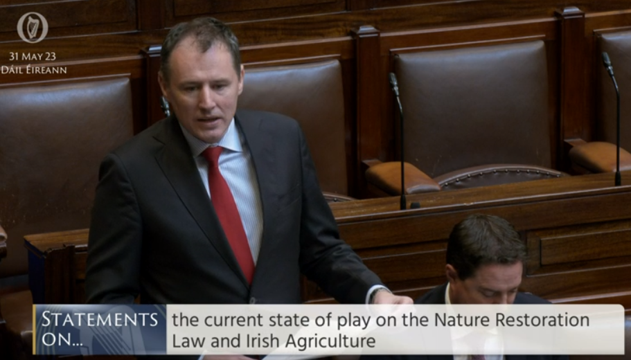 Minister for Agriculture, Food and the Marine, Charlie McConalogue