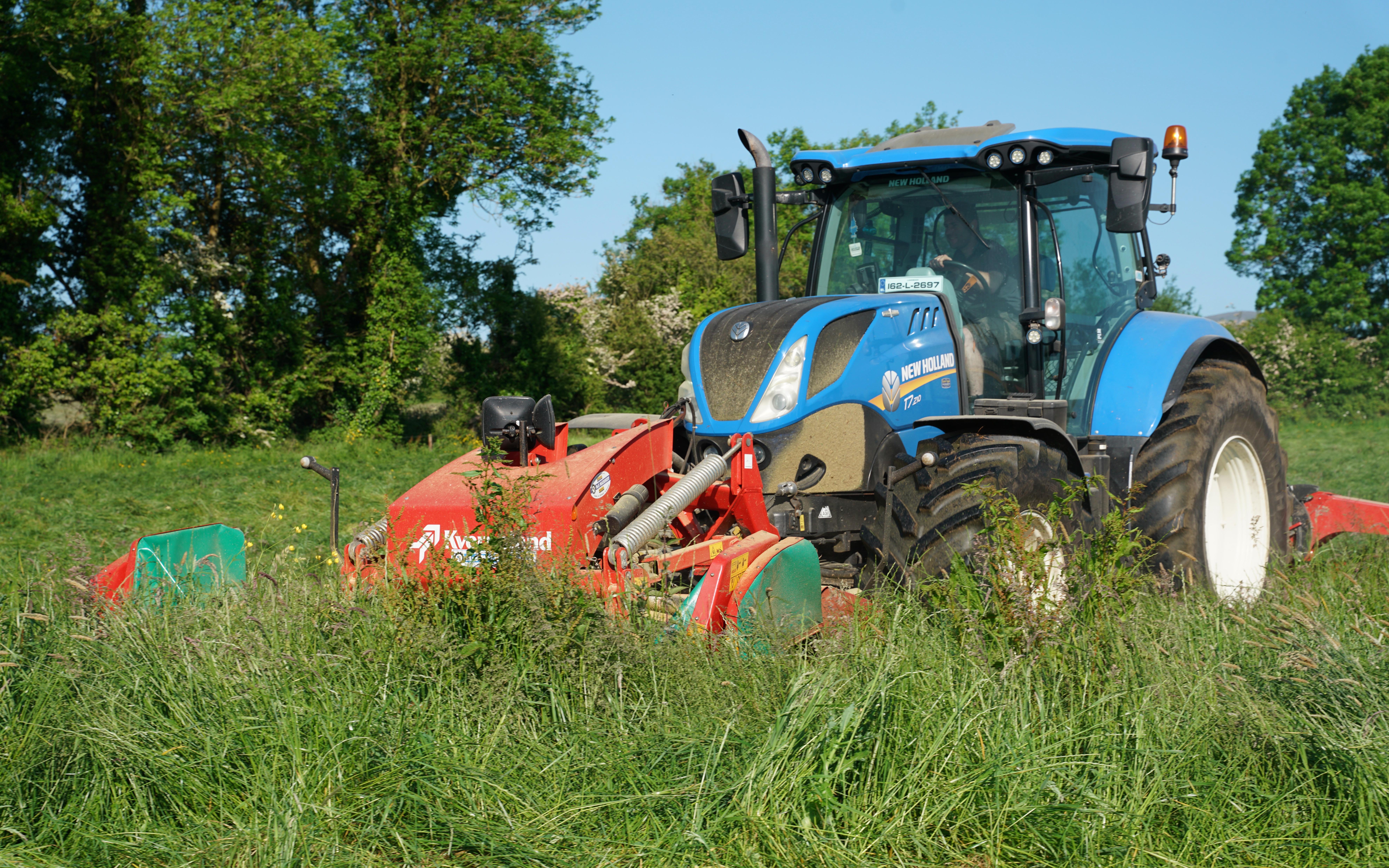 Cutting a heavy crop was easy work for the combination
