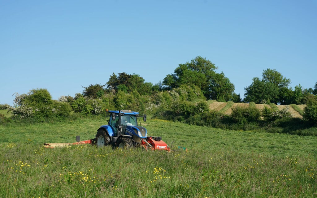 Contracting in Ireland rarely gets this idyllic. Patrick Hanley mows ahead of his father in the harvester