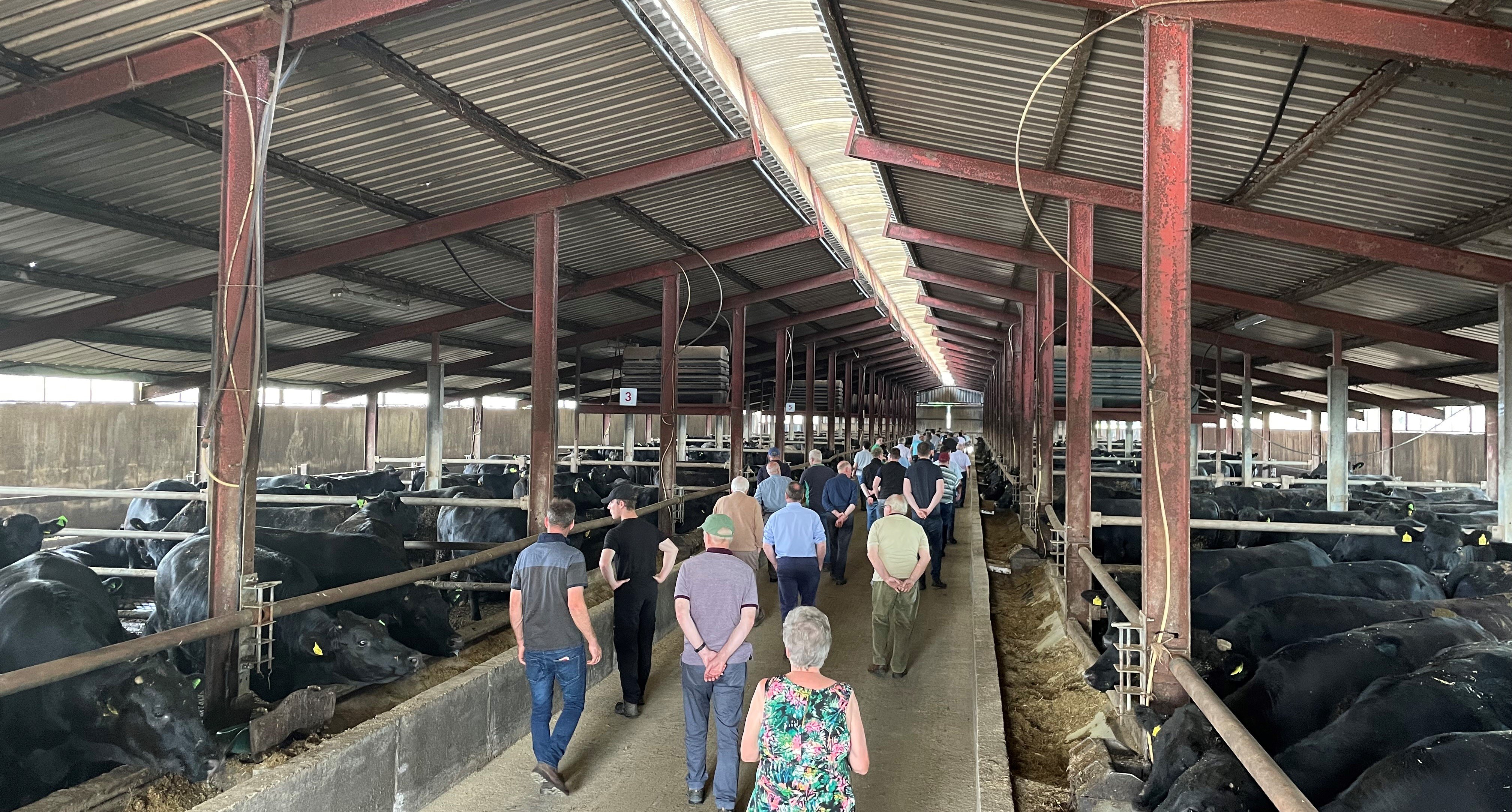 Beef farmers supplying Liffey Meats in attendance at the recent farm walk in Co. Meath