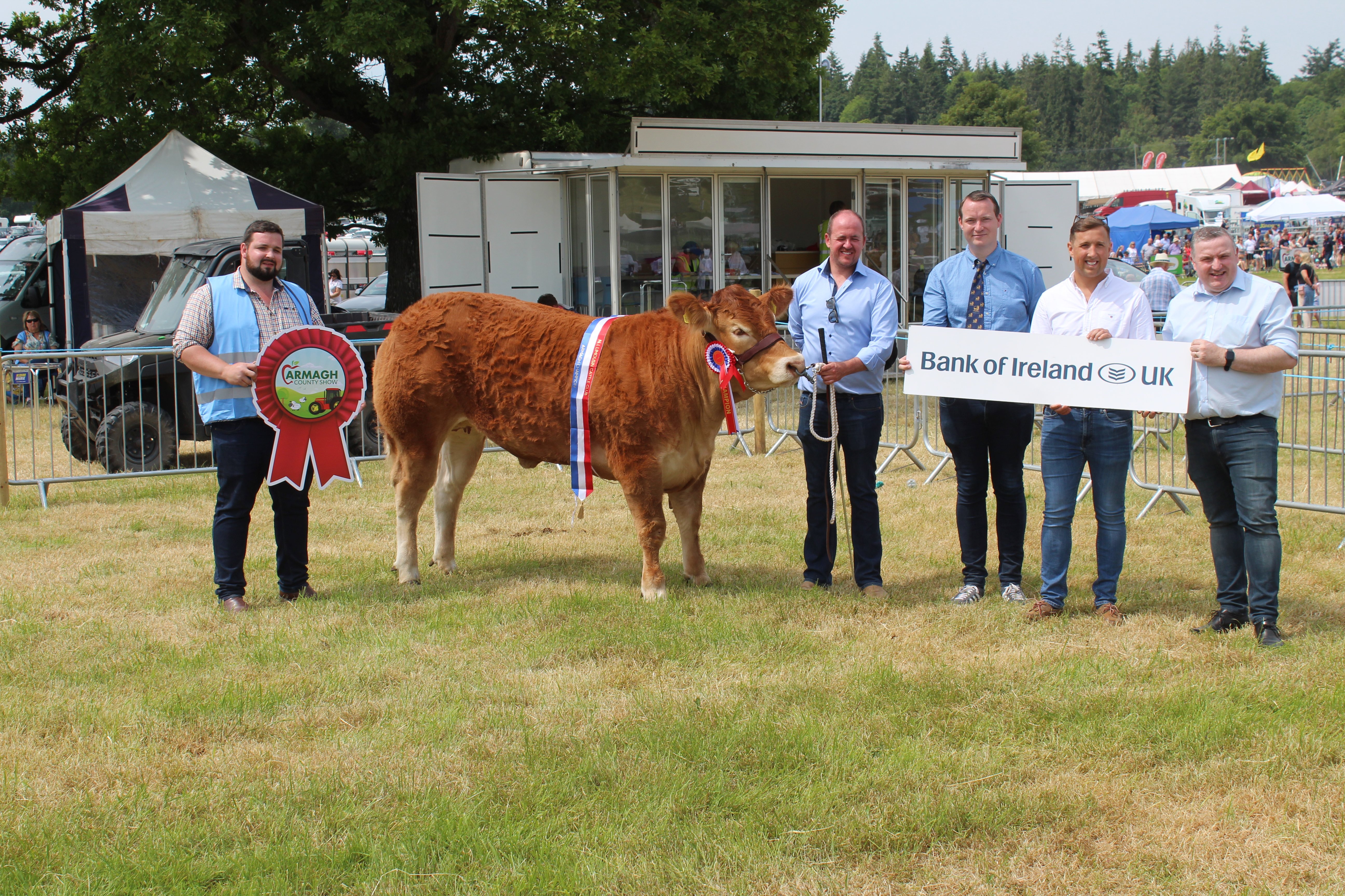 The beef inter-breed champion at Armagh Show 2023
