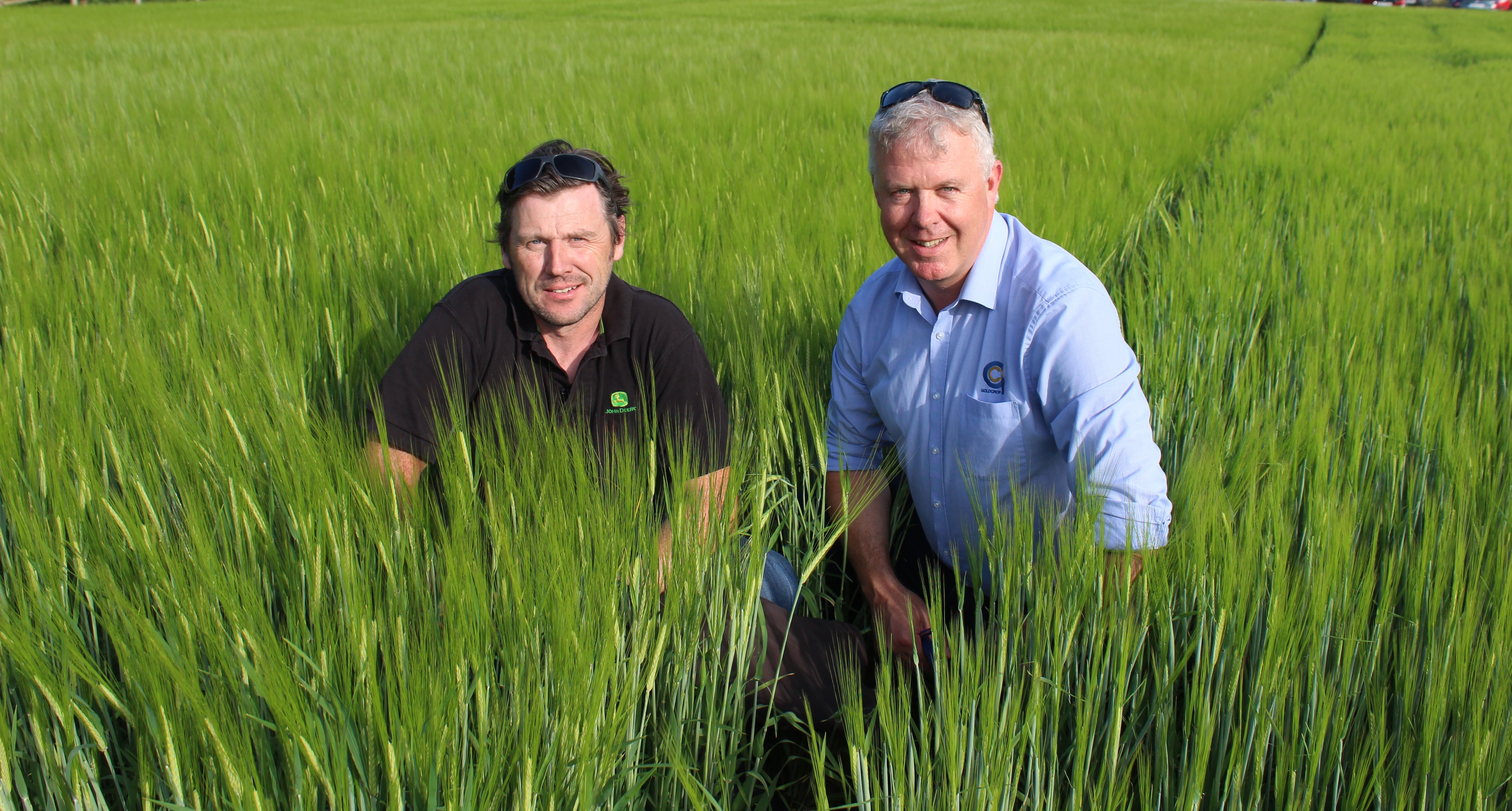 Enjoying their evening amongst the crops: Goldcrop general manager Donal Fitzgerald (right) with Colm Farrell