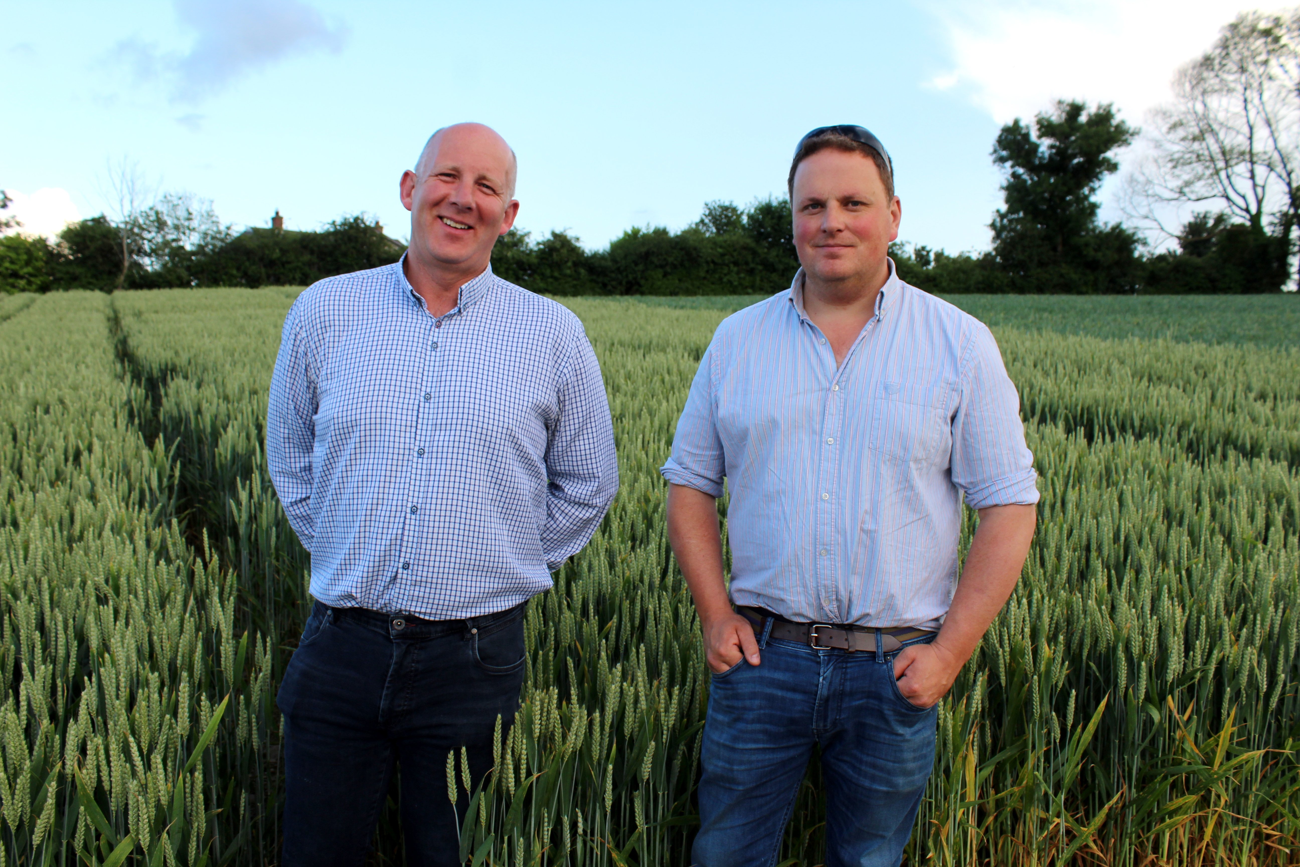 Assessing the winter wheat crops at the Goldcrop open evening L-R: Tony McIvor and Philip Ward