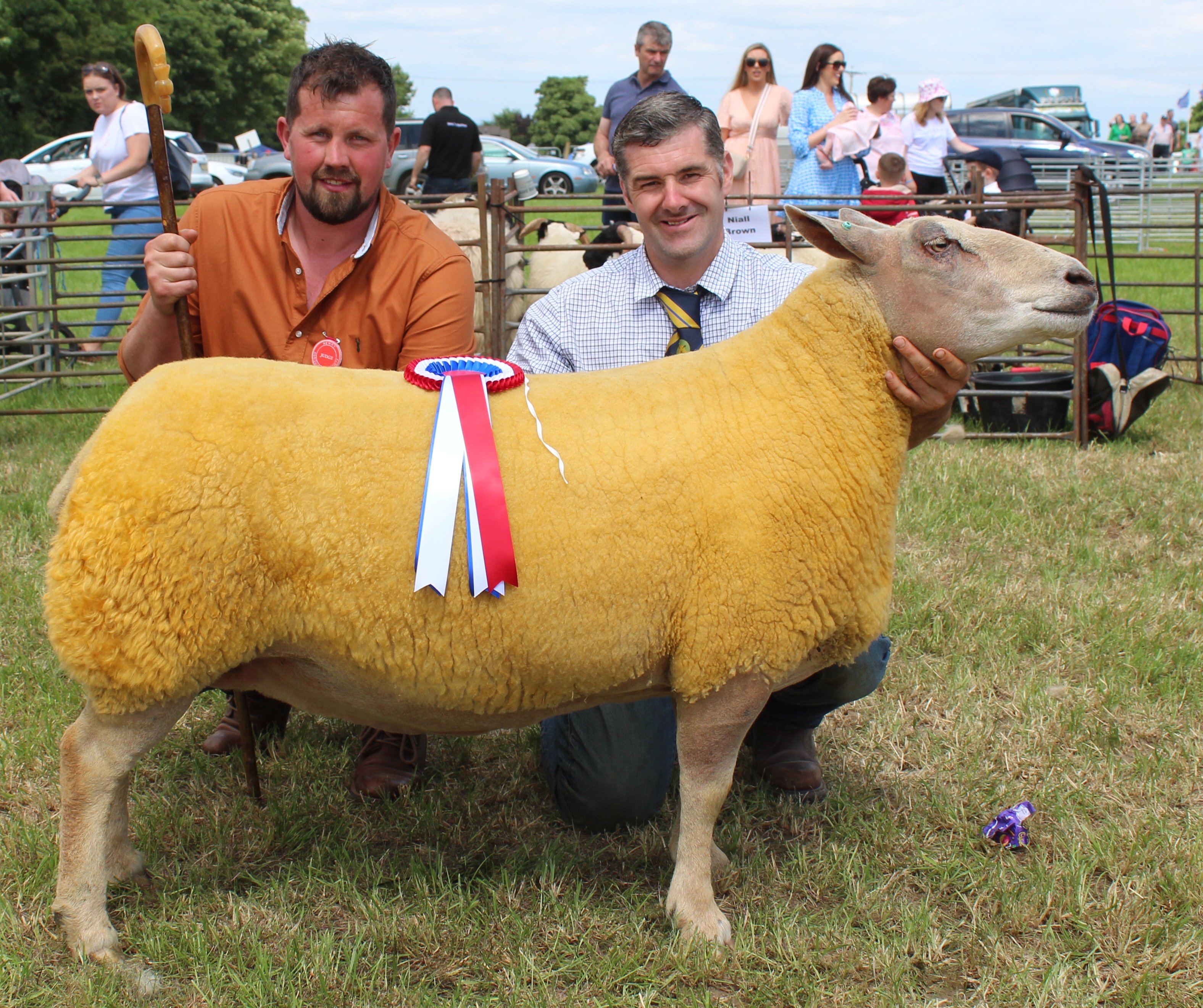 The Sheep Inter-Breed Champion at Newry Show 2023