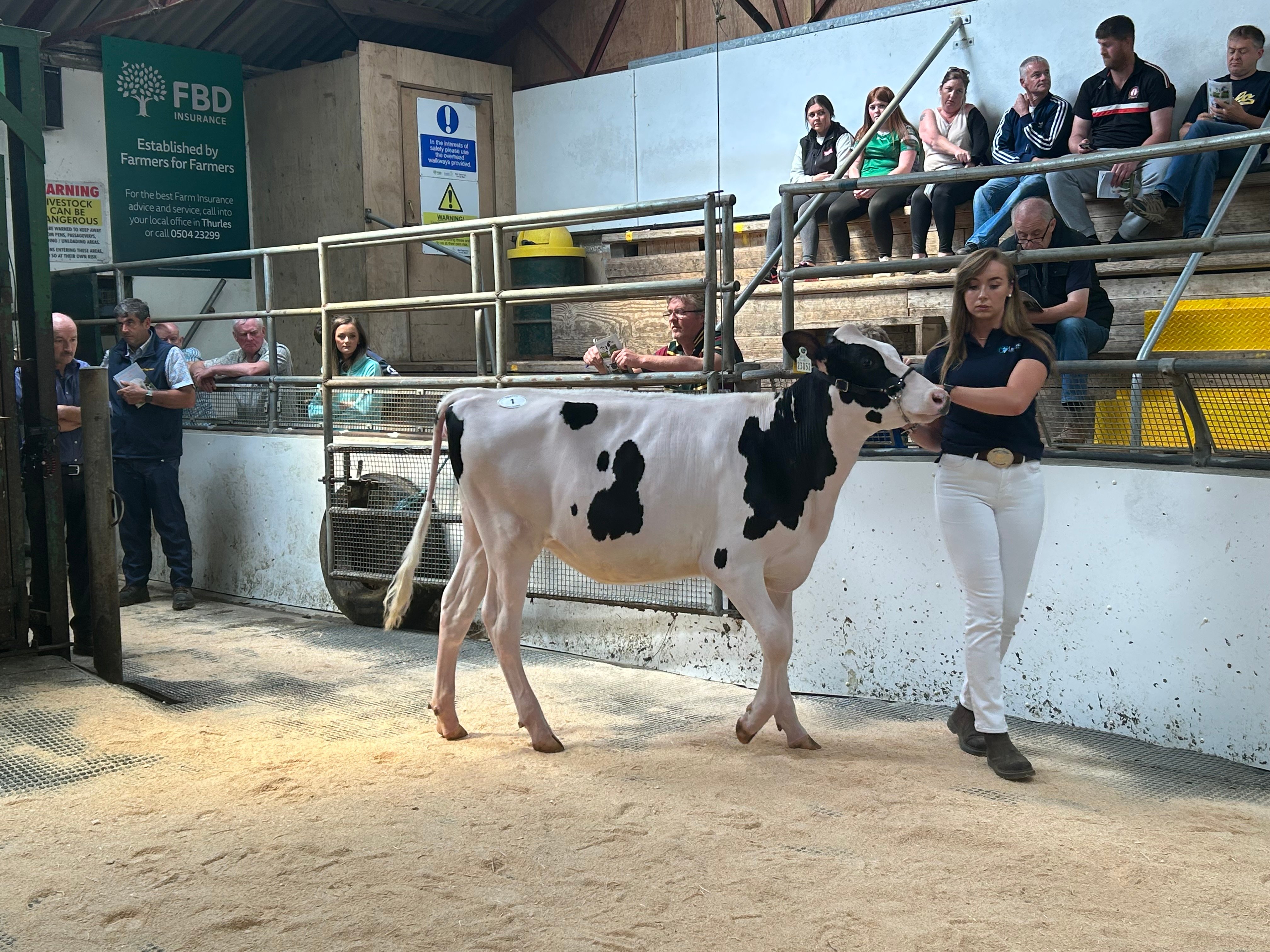 Lot 1: Leagh Chief Blossom, sold for 4,200gns