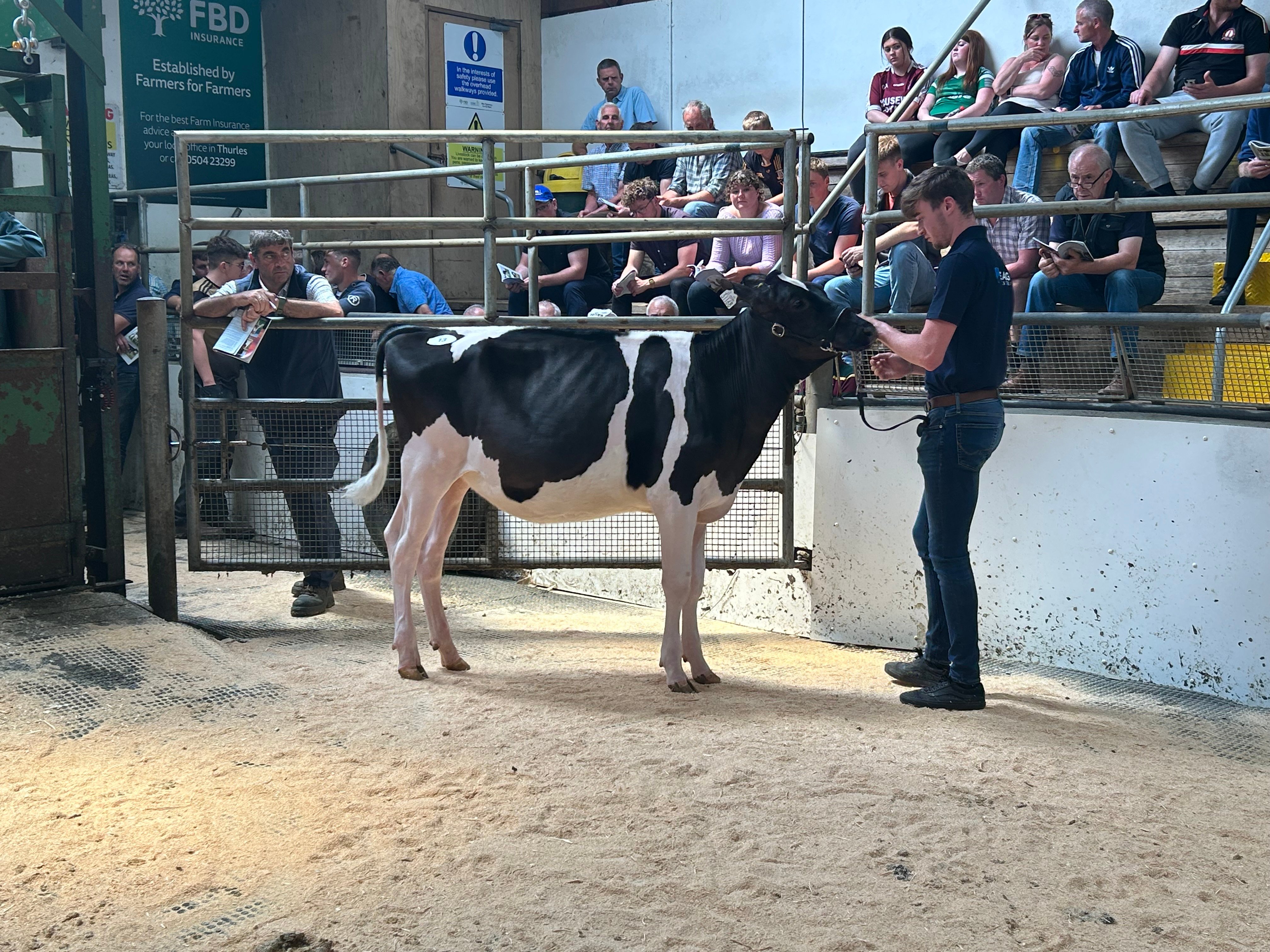 Lot 13: Leagh Klassy Lassy ET