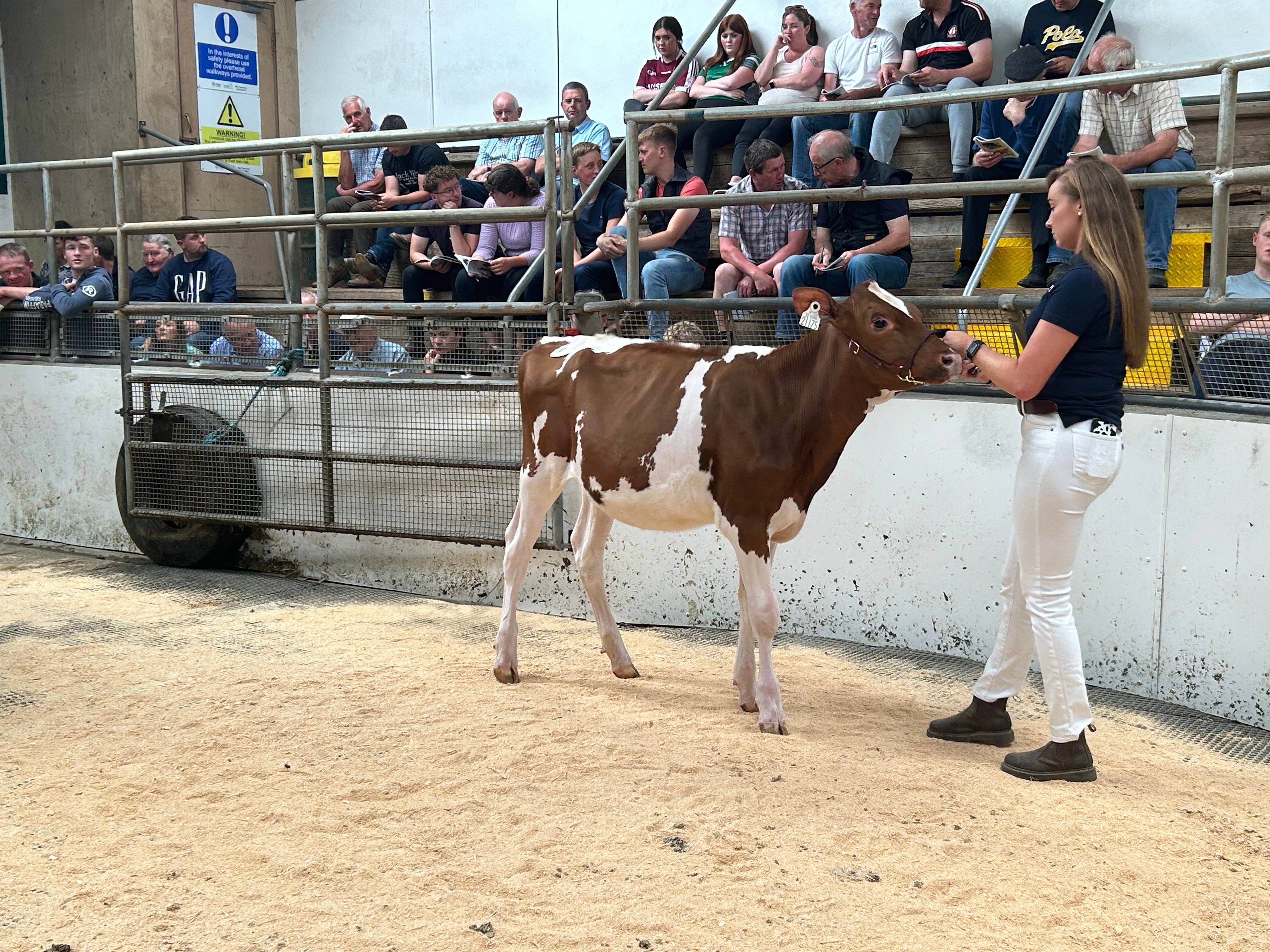 Lot 17: Leagh Dyder Ivy P Red ET, sold for 3,900gns