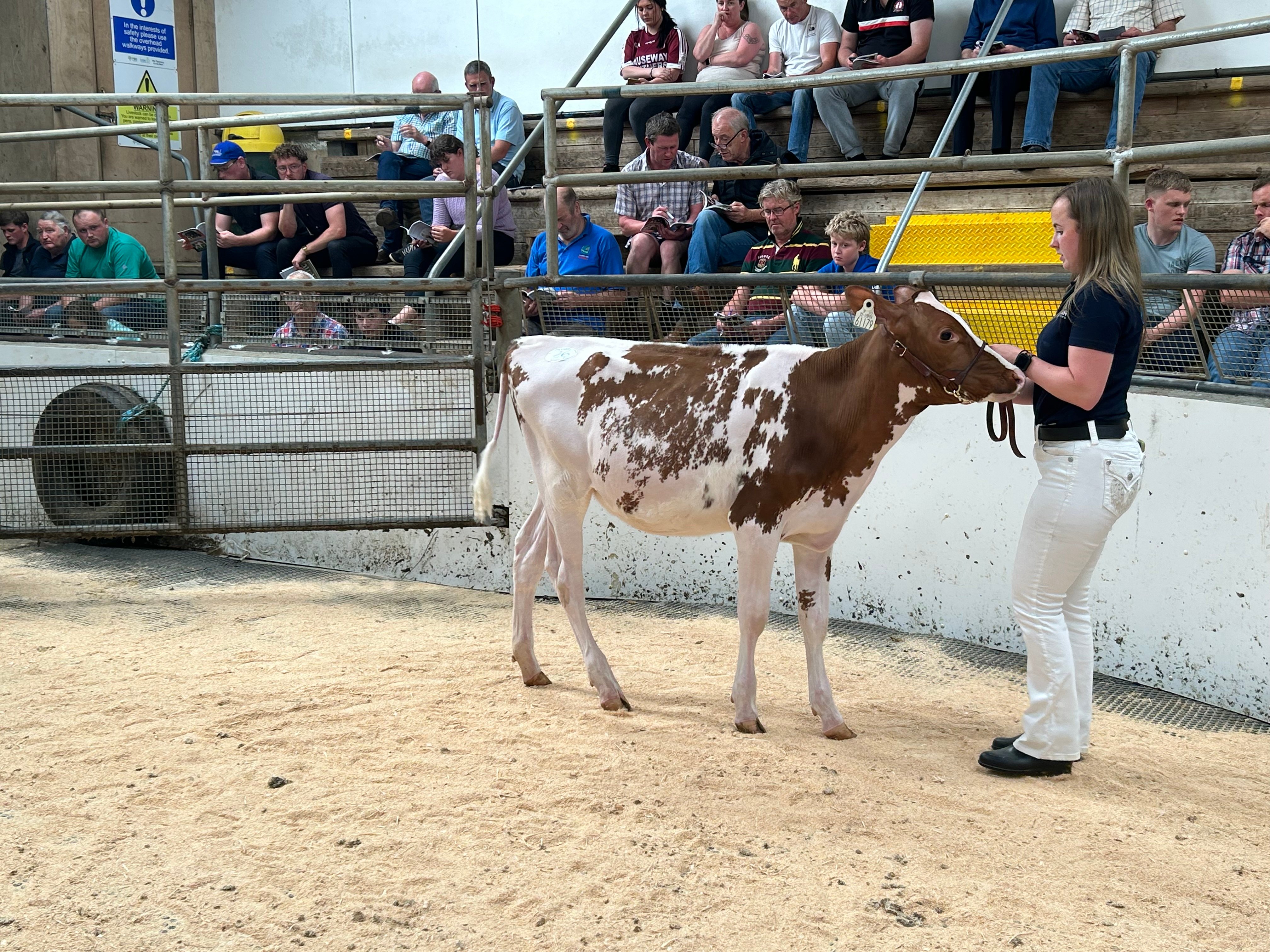 Lot 26: Leagh Scene Not Herd Red ET, sold for 4,100gns