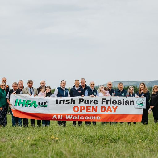 Representatives from FBD, Munster Bovine, IHFA, Dairygold, Pure Friesian Club, Volac and Macra laucnhing this year's open dayImage: IHFA
