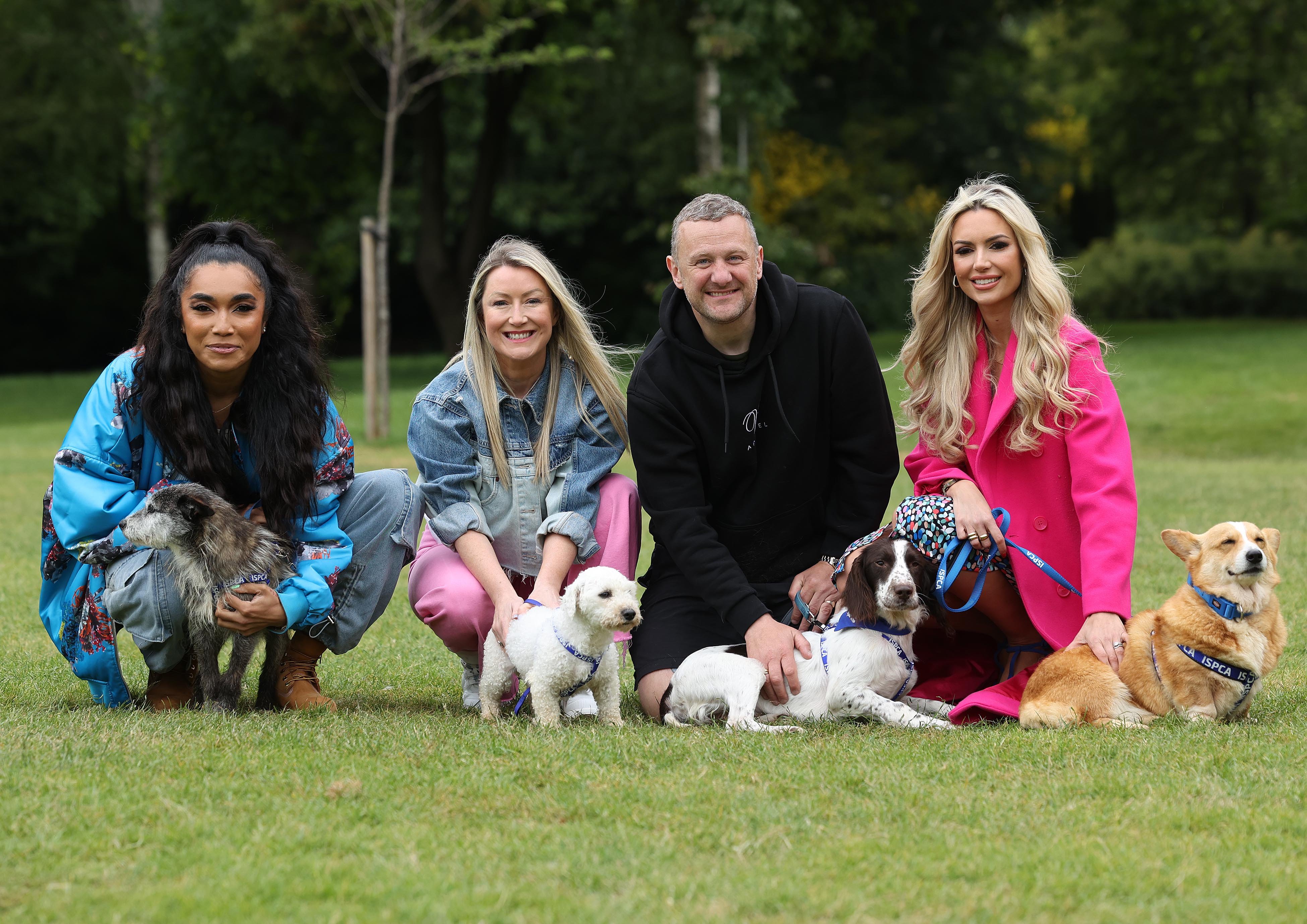 The Irish Society for Prevention of Cruelty to Animals (ISPCA) have launched an urgent national emergency appeal, Stop the Pain. From left Erica Cody  with Andrea Hayes, PJ Gallagher and Rosanna Davison. Source: ISPCA