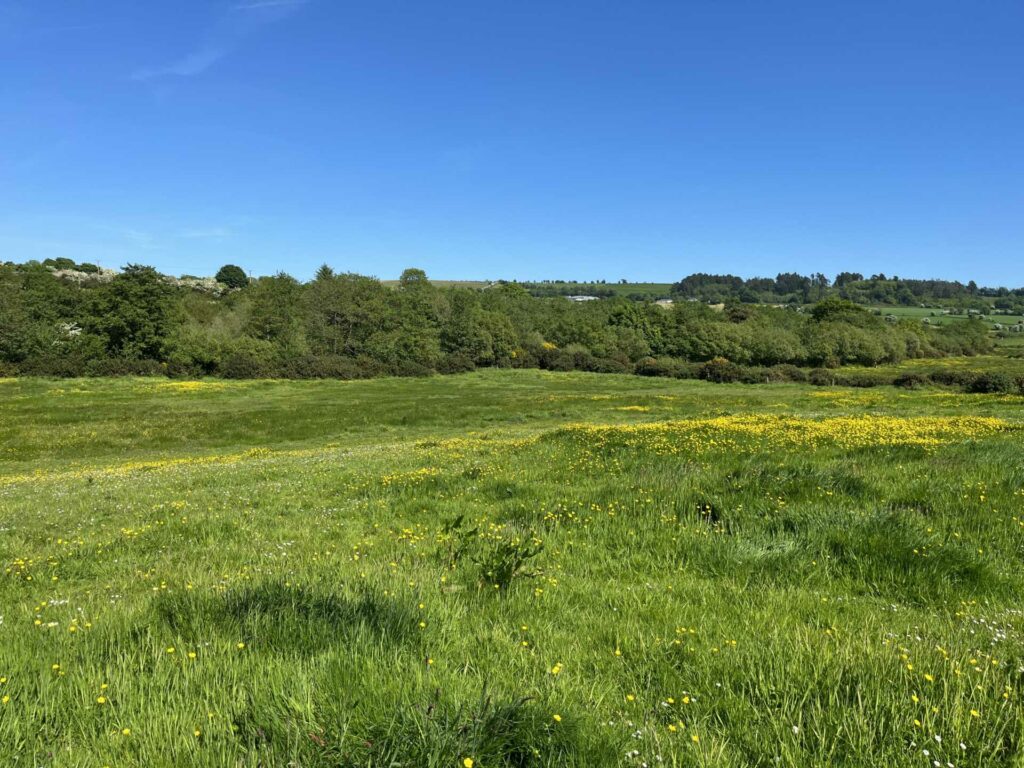 Ticknock, Oulart, Co. Wexford