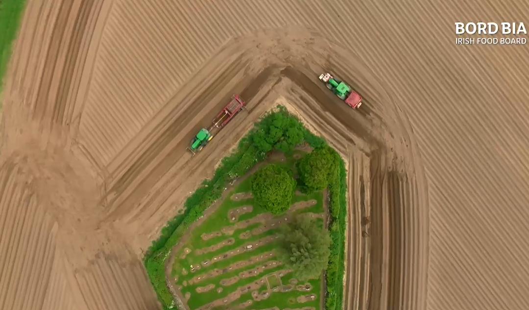 RTÉ&nbsp;Home Grown programme. Source: Bord Bia