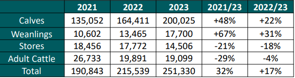 Live cattle exports by type in the first 27 weeks of 2023. Source: DAFM