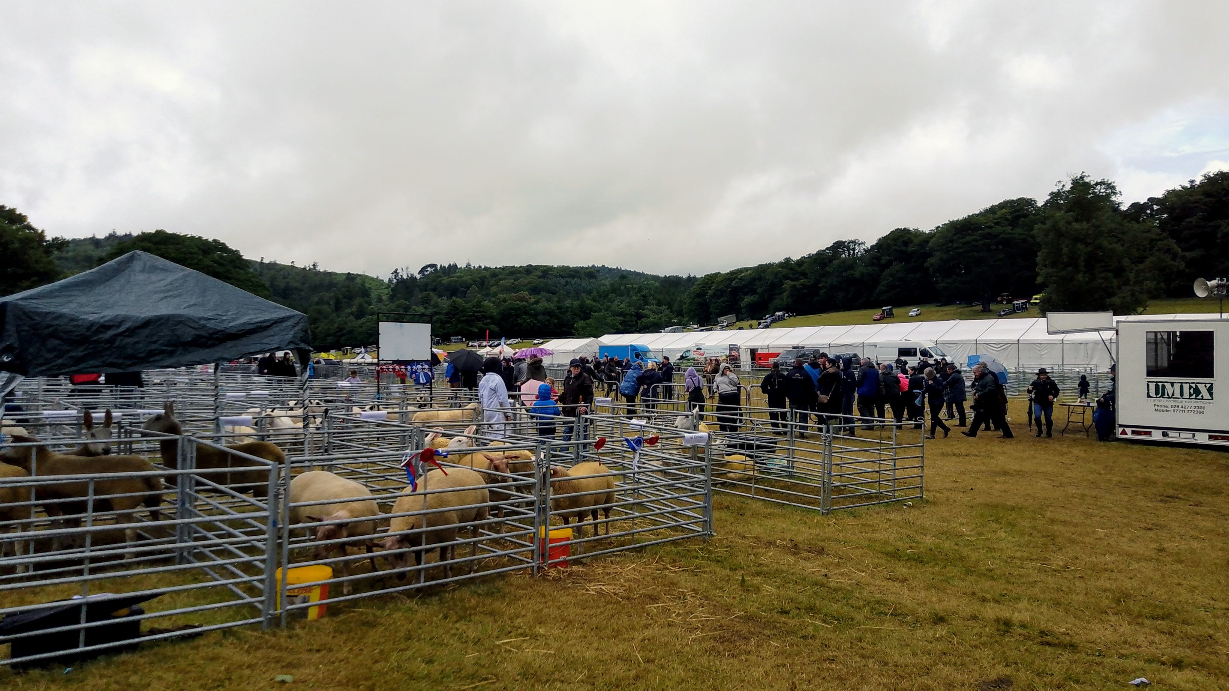 Castlewellan Show 2023. Image: Lee Maginnis