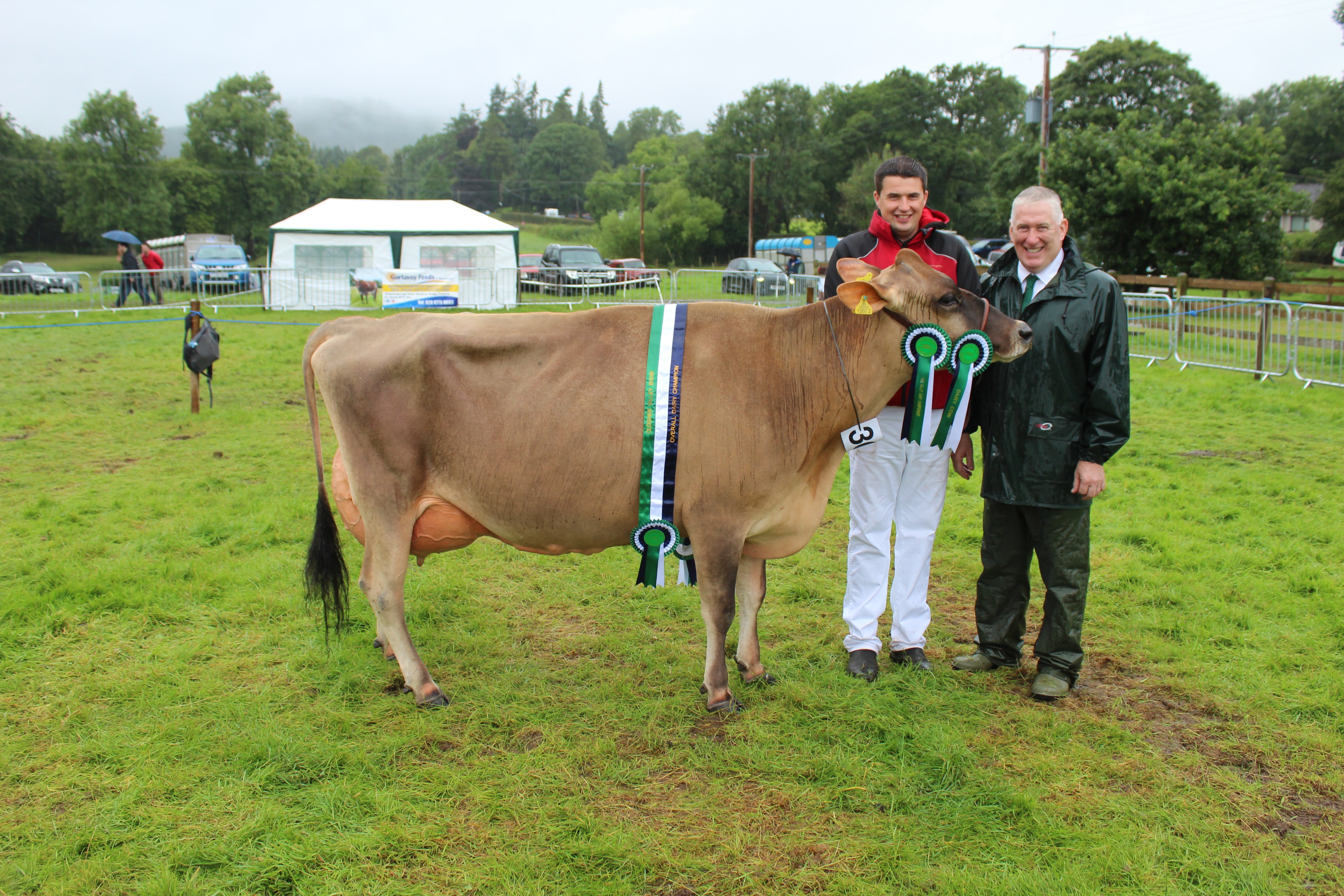 The dairy inter-breed champion at Clogher Valley Show 2023