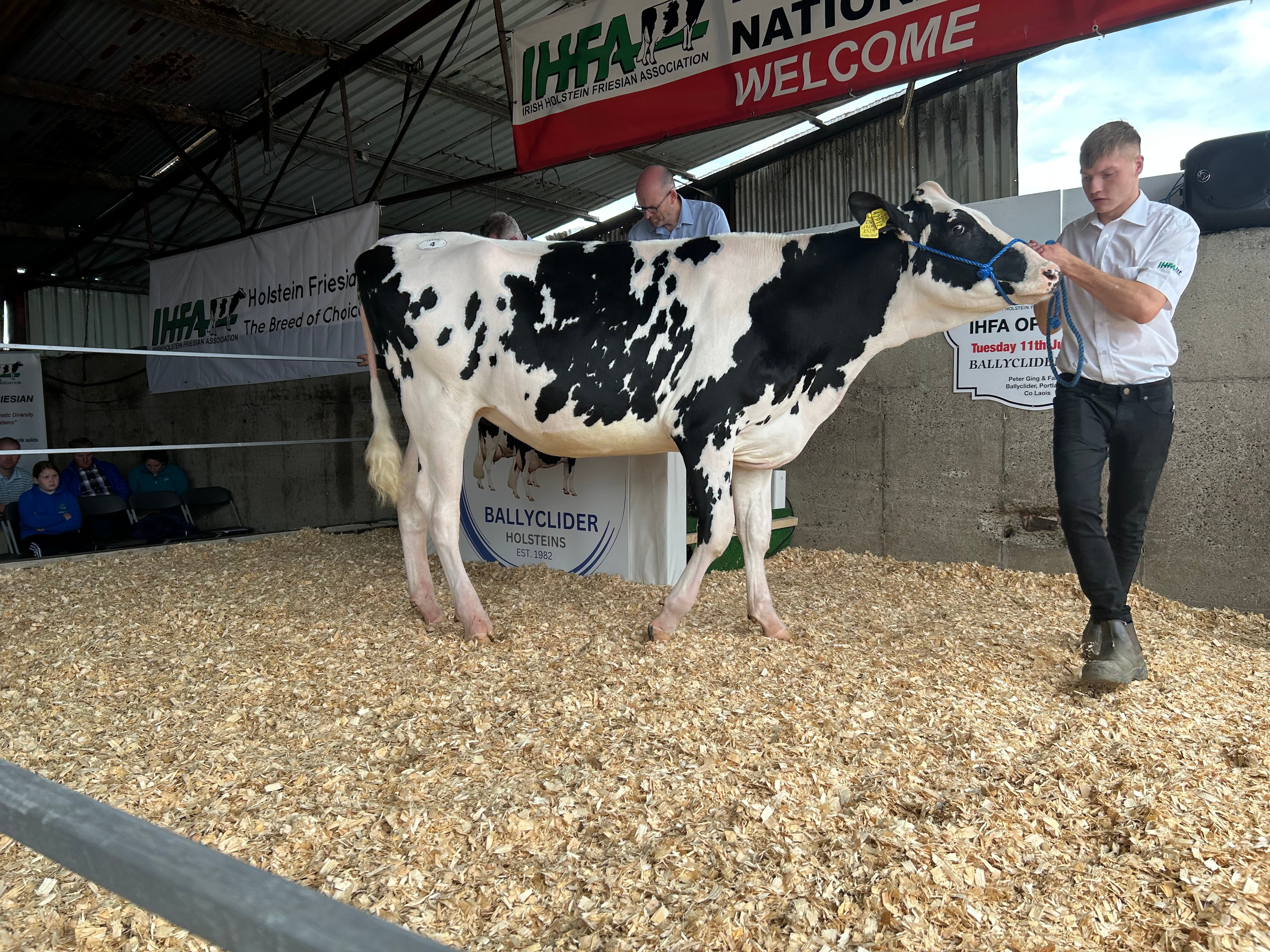 Lot 4: Ballyclider Una 276, sold for 2,250gns