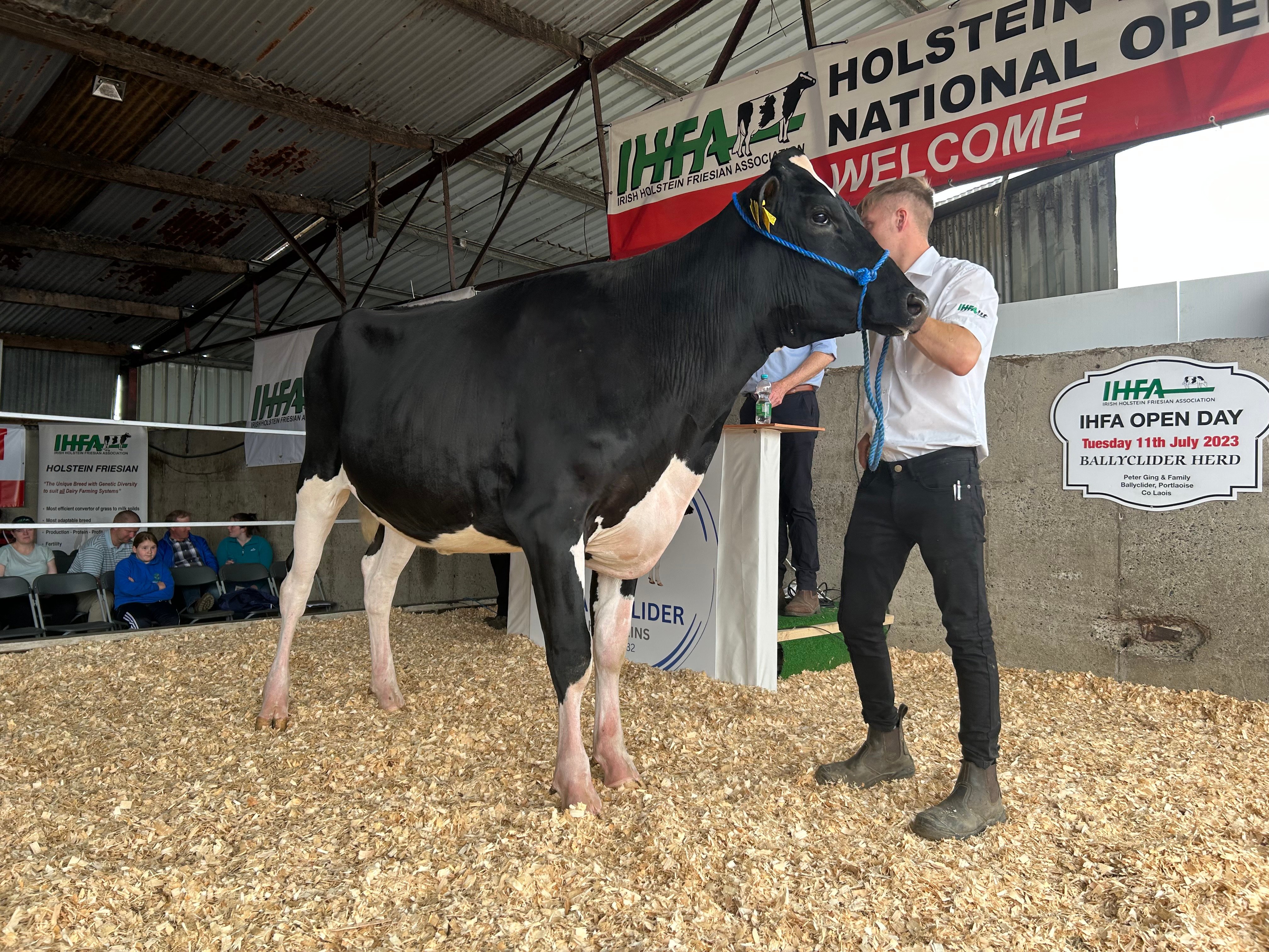 Lot 6: Ballyclider Chris 458, sold for 2,750gns