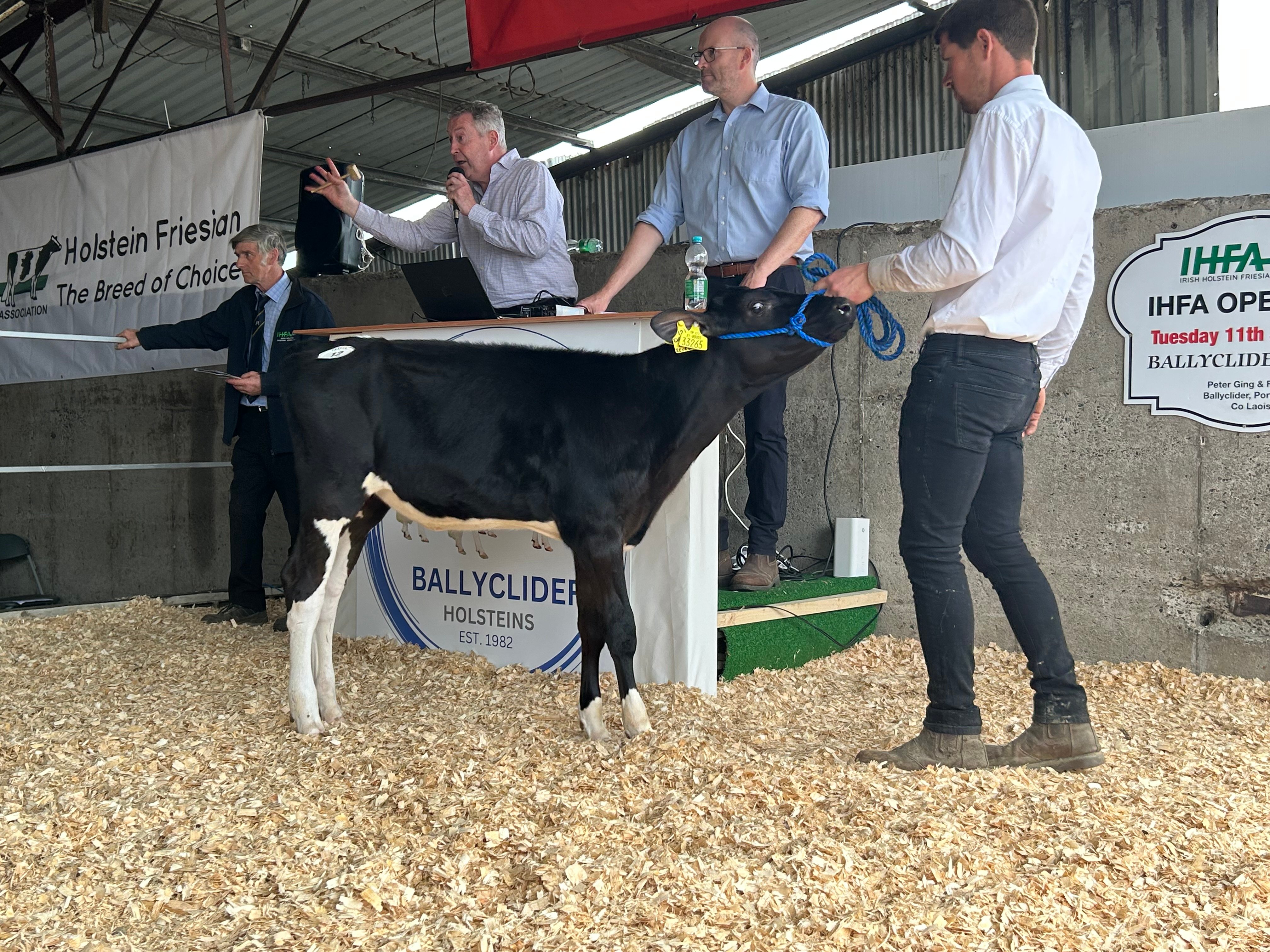 Lot 12: Ballyclider Darkie 121, sold for 2,700gns