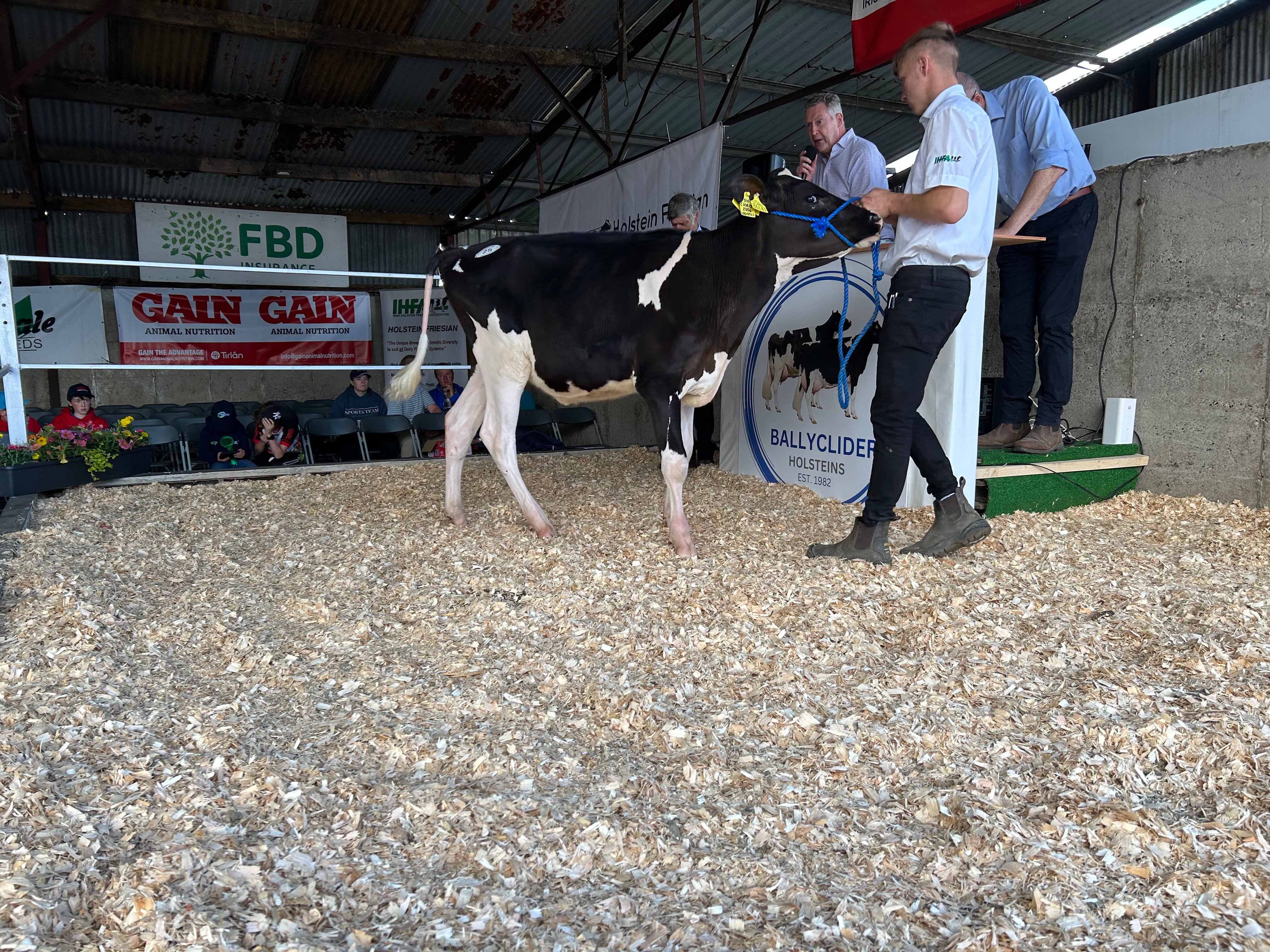 Lot 25: Ballyclider Chris 510, sold for 1,750gns