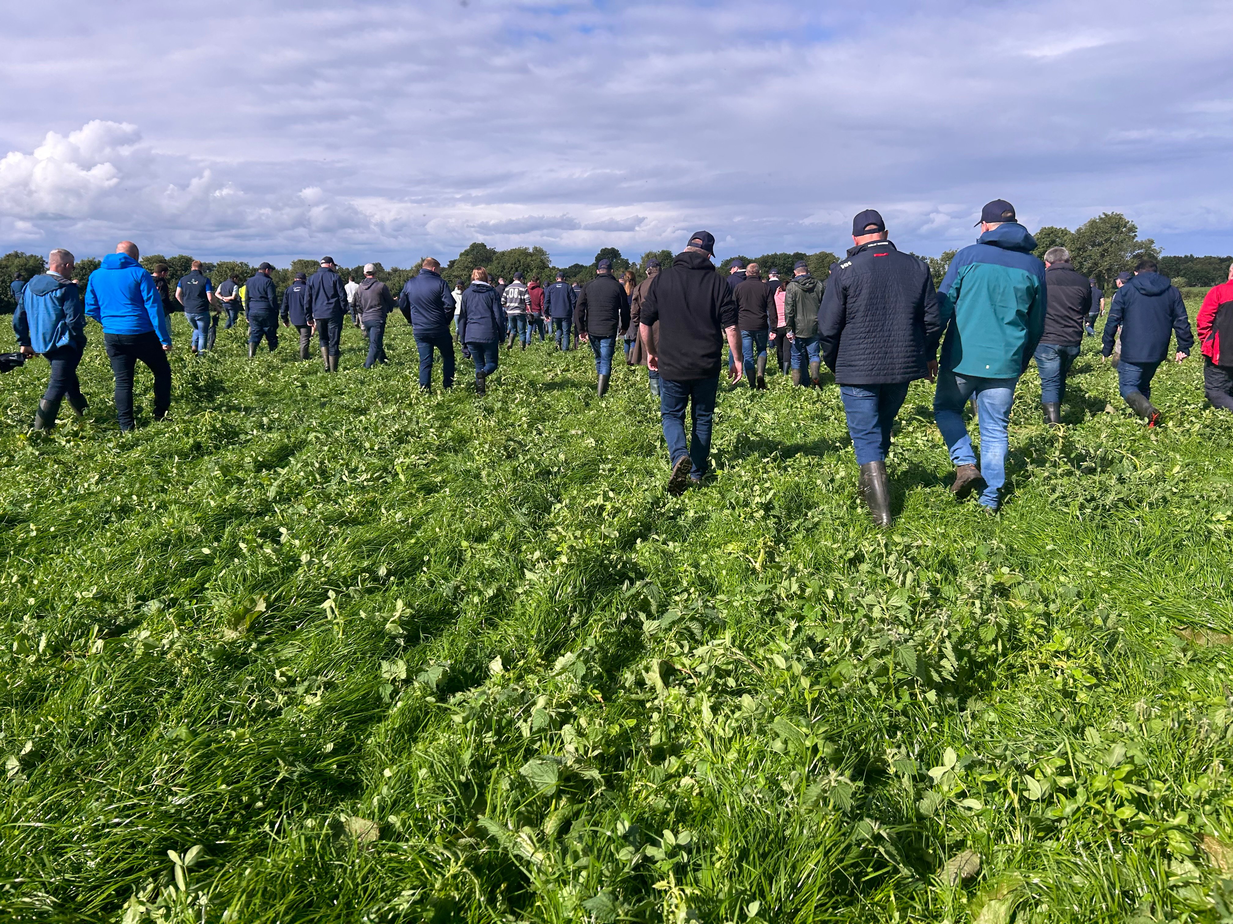 Crowds at the IGA farm walk