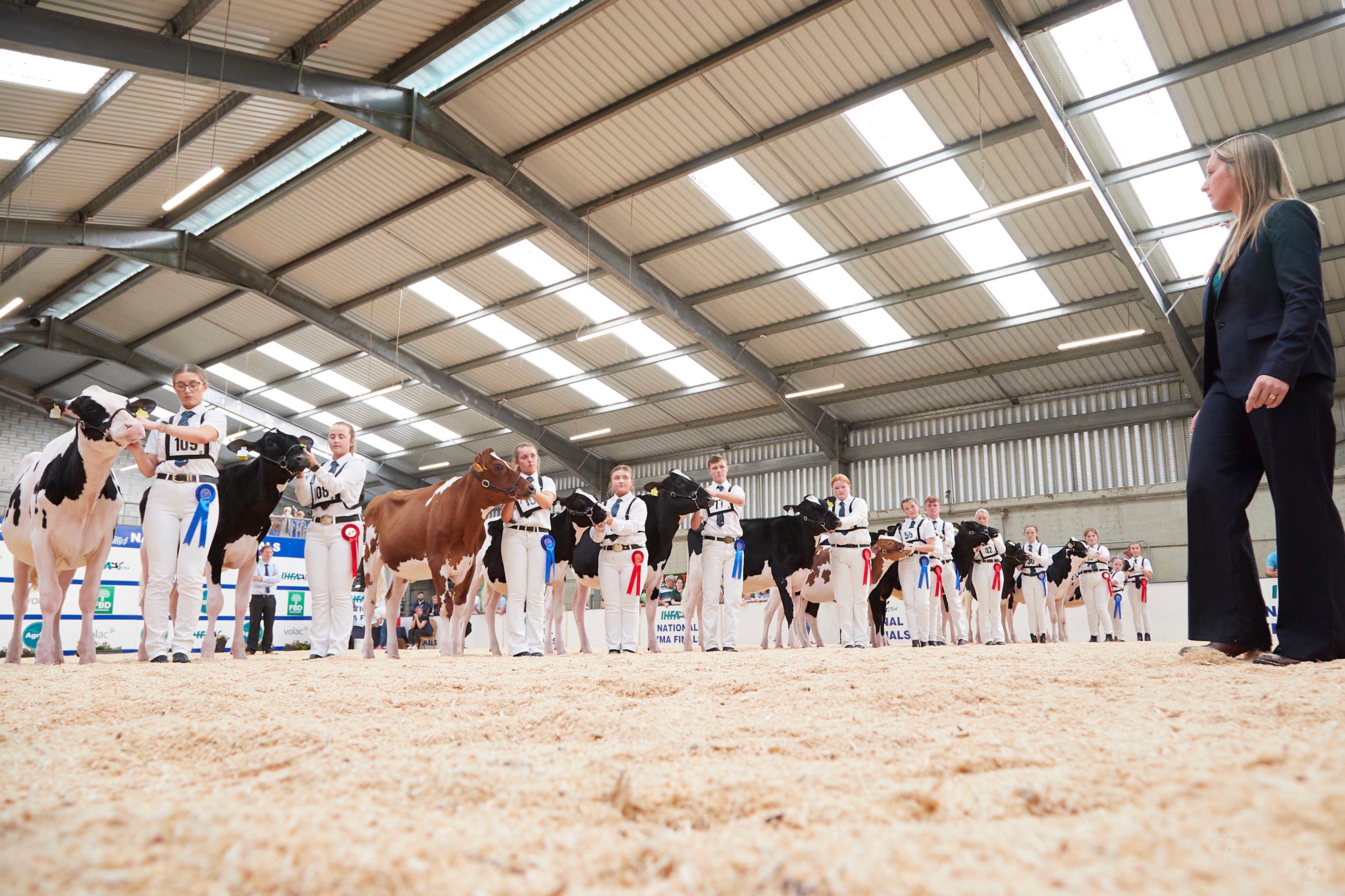 Judge Izzy Laird viewing her final handler championship line up at the IHFA national YMA finals Image: Maria Kelly