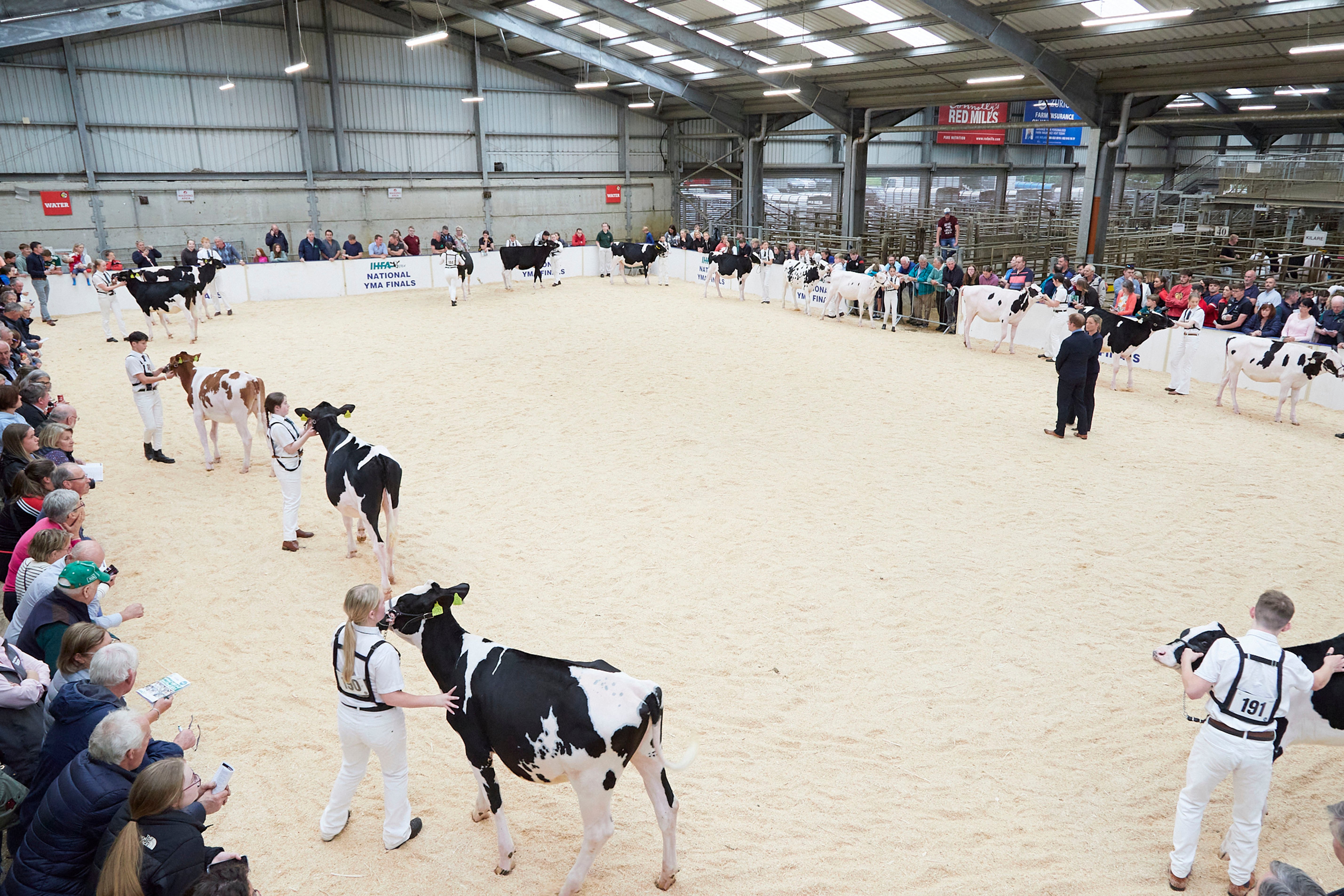 View of the ring as Judges Colin and Lizzy Laird judge at the IHFA national YMA finalsImage: Maria Kelly
