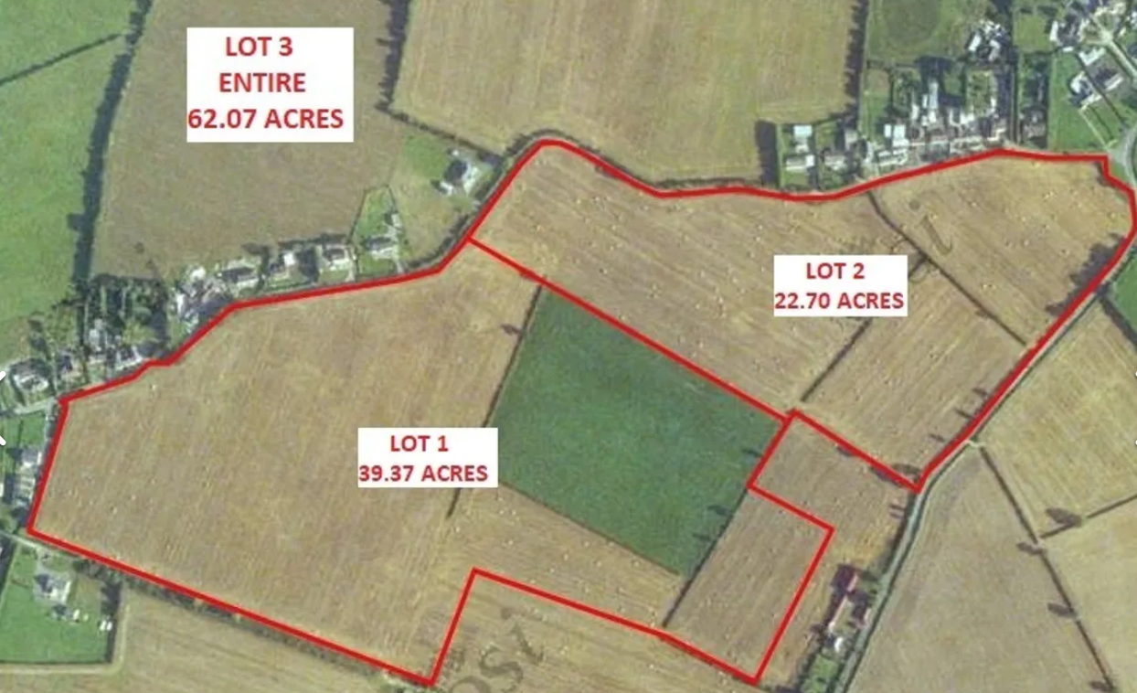 The Kildare holding was offered for sale in three lots Image: Daft.ie