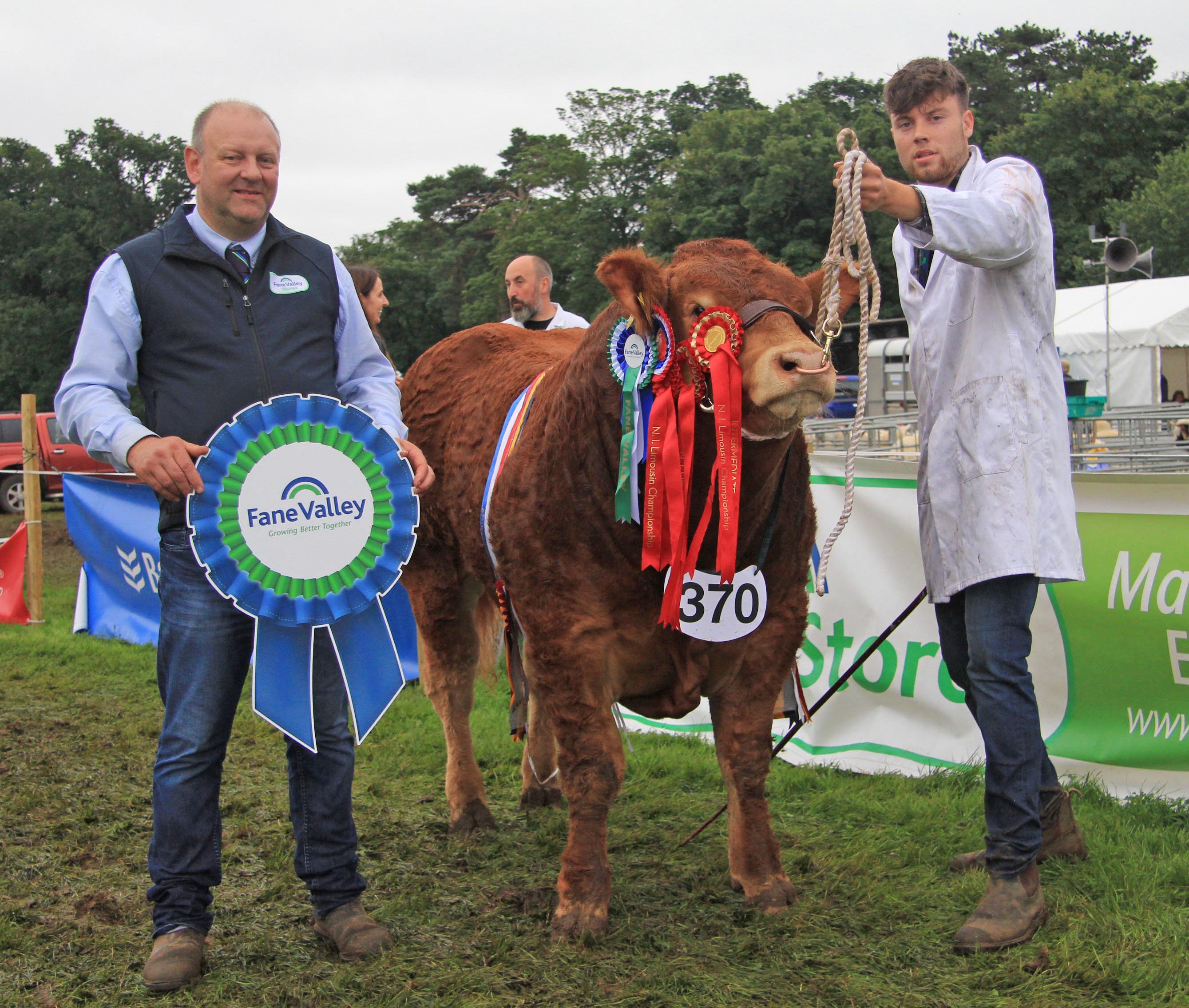 The beef inter-breed champion at Antrim Show 2023