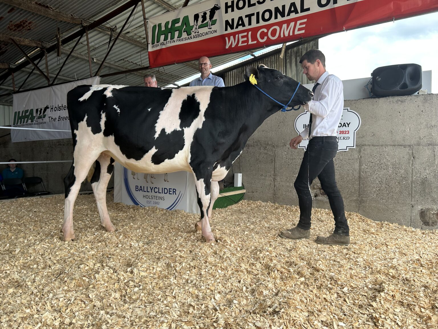 Lot 2: Ballyclider Cocarde 63, sold for 3,350gns