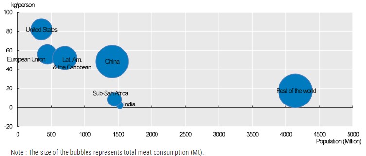 Projected meat consumption in the largest consuming countries in 2032. Source: OECD/ FAO