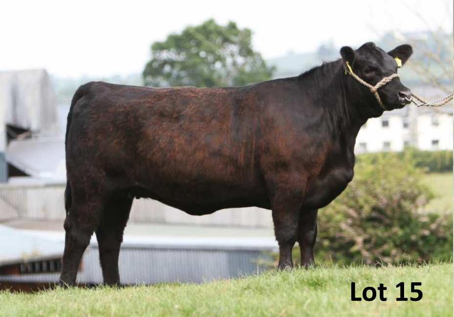 Mogeely Flora X787 sold for €8,000