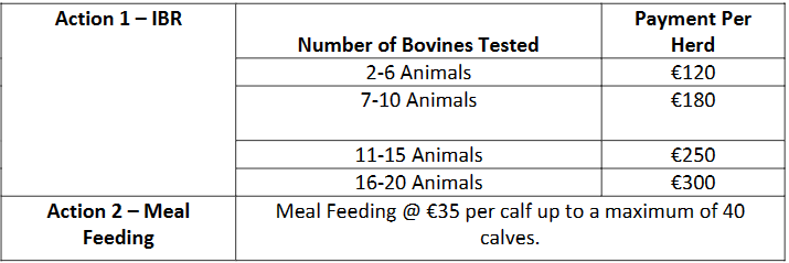 Source: Department of Agriculture, Food and the Marine (DAFM)