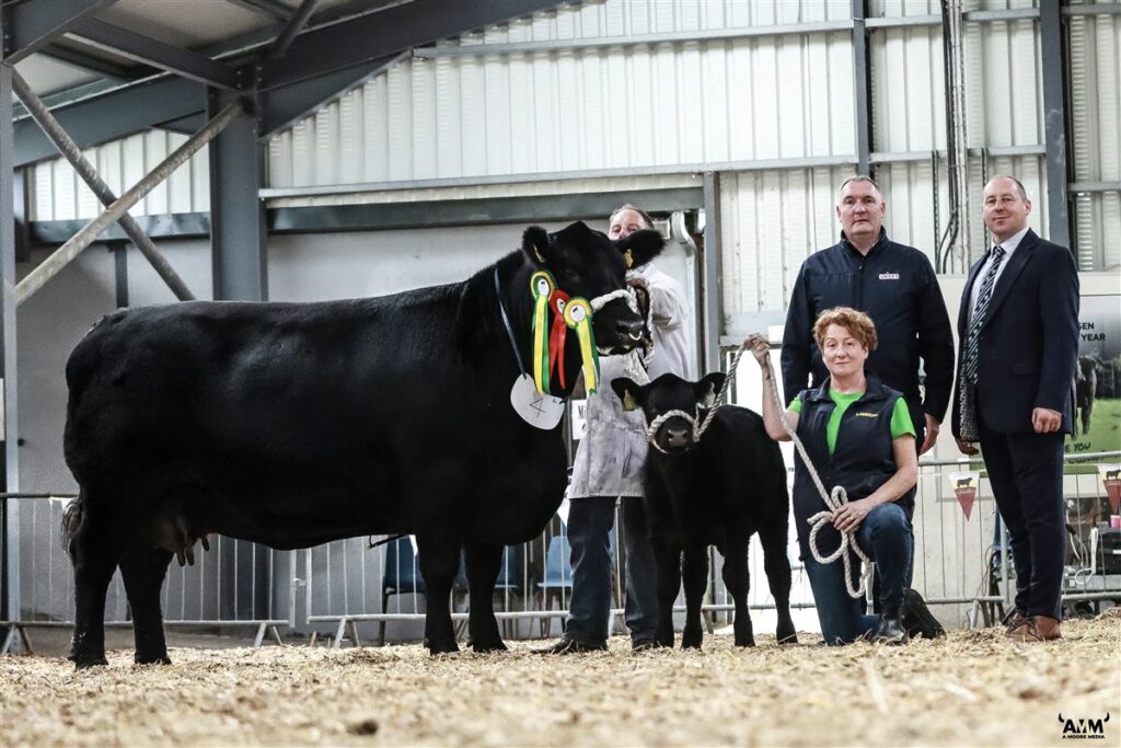 Reserve supreme All-Ireland champion, Lisduff Beuty Babe U640 from Leo McEnroe, Virginia, Co. Cavan. Exhibited by PJ Smith and Ann McEnroe. With sponsor Mark O’Rourke, Univet and judge Matt Stoker