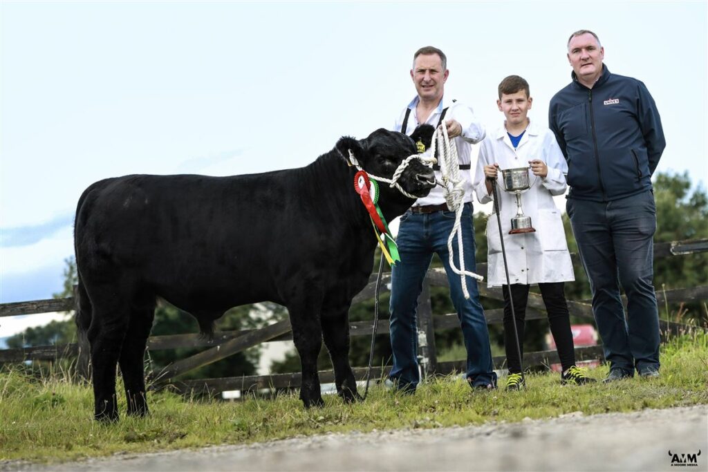 Junior champion Drumcarbin Lord Zidane Z414 exhibited by Shane and Rian McKiernan and pictured with sponsor Mark O'Rourke, Univet.