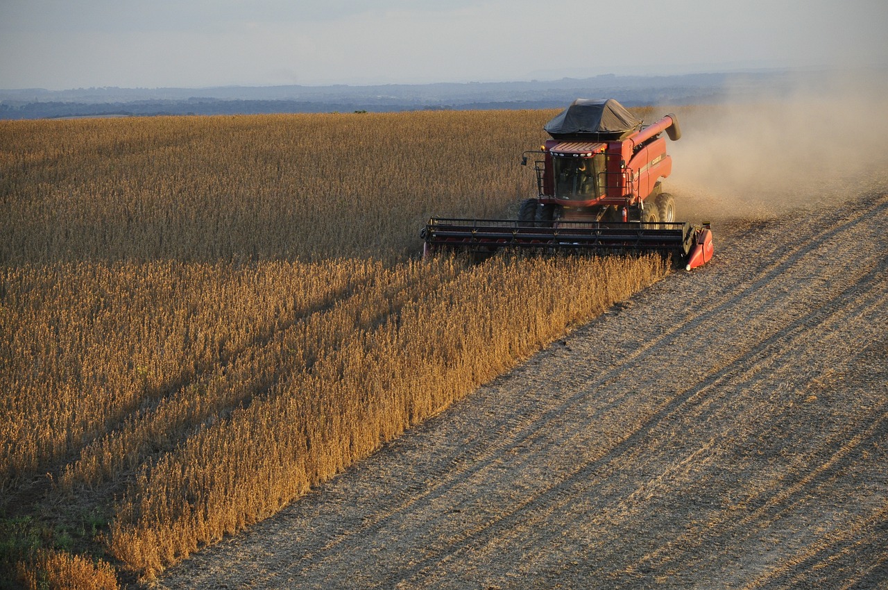 Harvest in Brazil