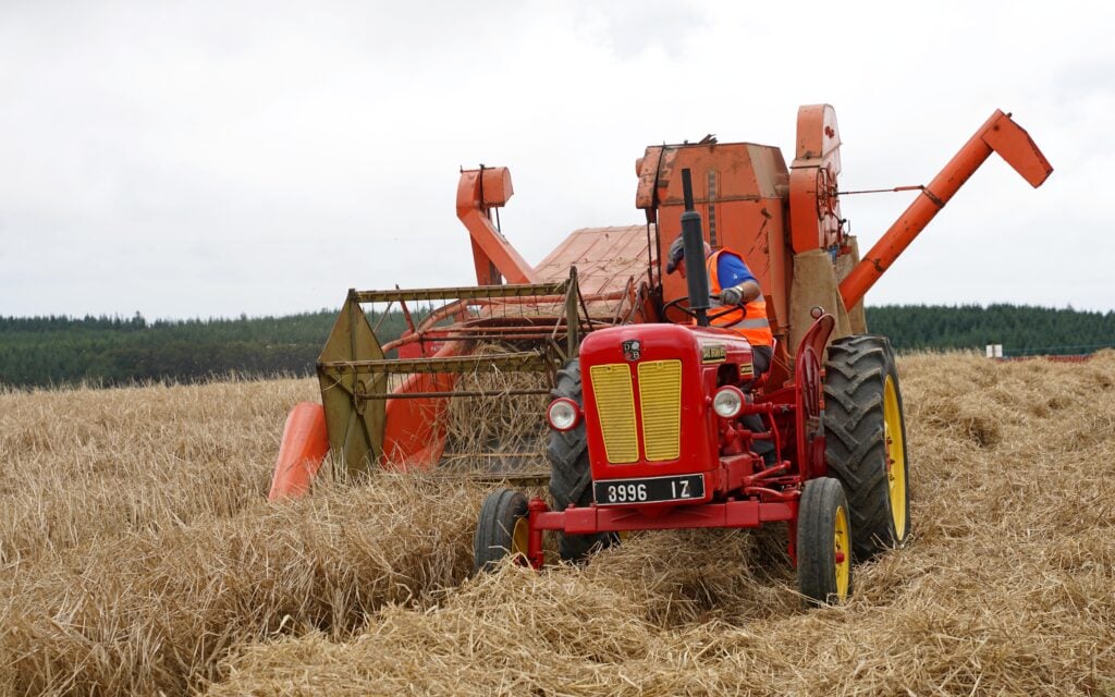 The Dania D600 trailed combine is well matched to the very nicely preserved David Brown 990 of 52hp