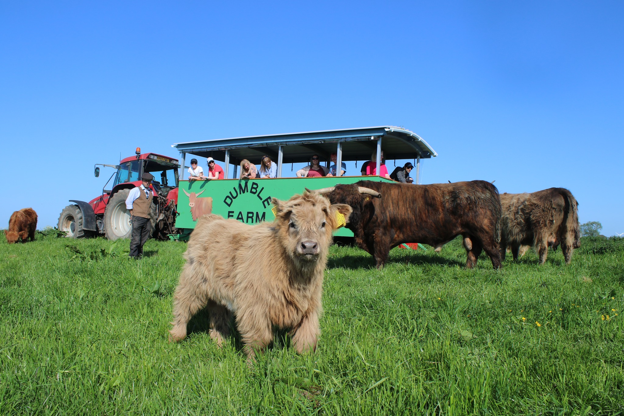 Dumble Farm safari. Source: Dumble Farm via Facebook