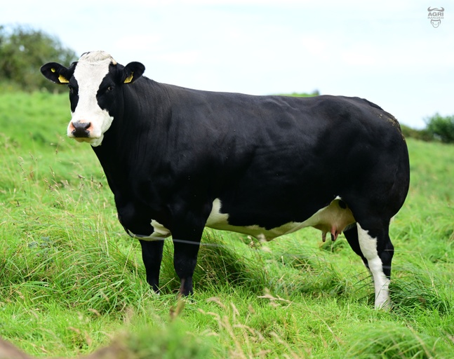 Lot 5 sold for €5,000