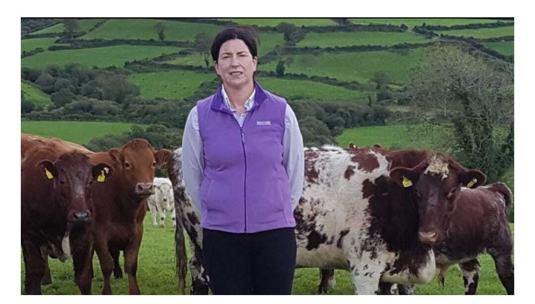 Helen O'Sullivan