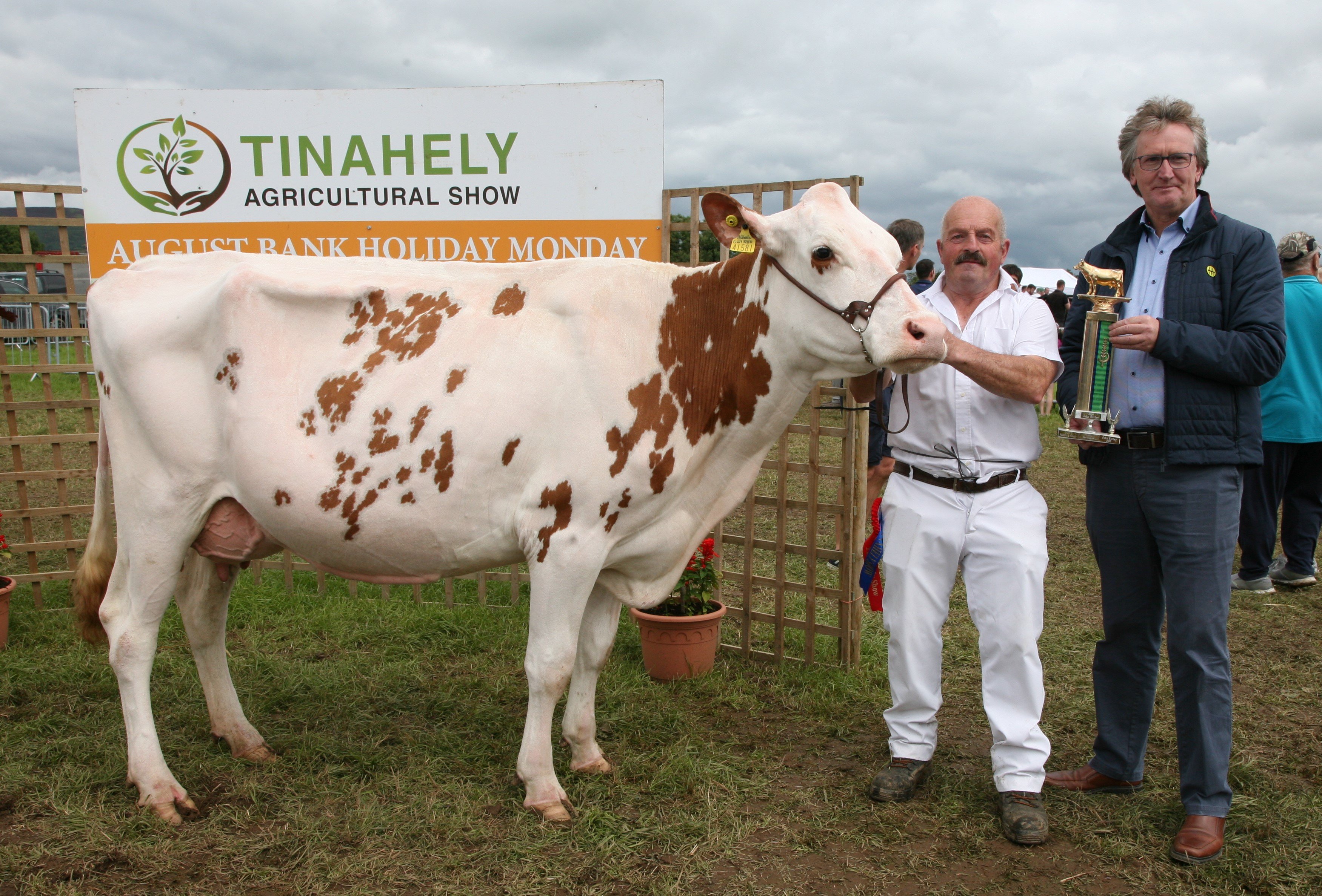 Winner of the Holstein junior cow in-milk was owner Anthony Kealy Image: Eamonn Doran