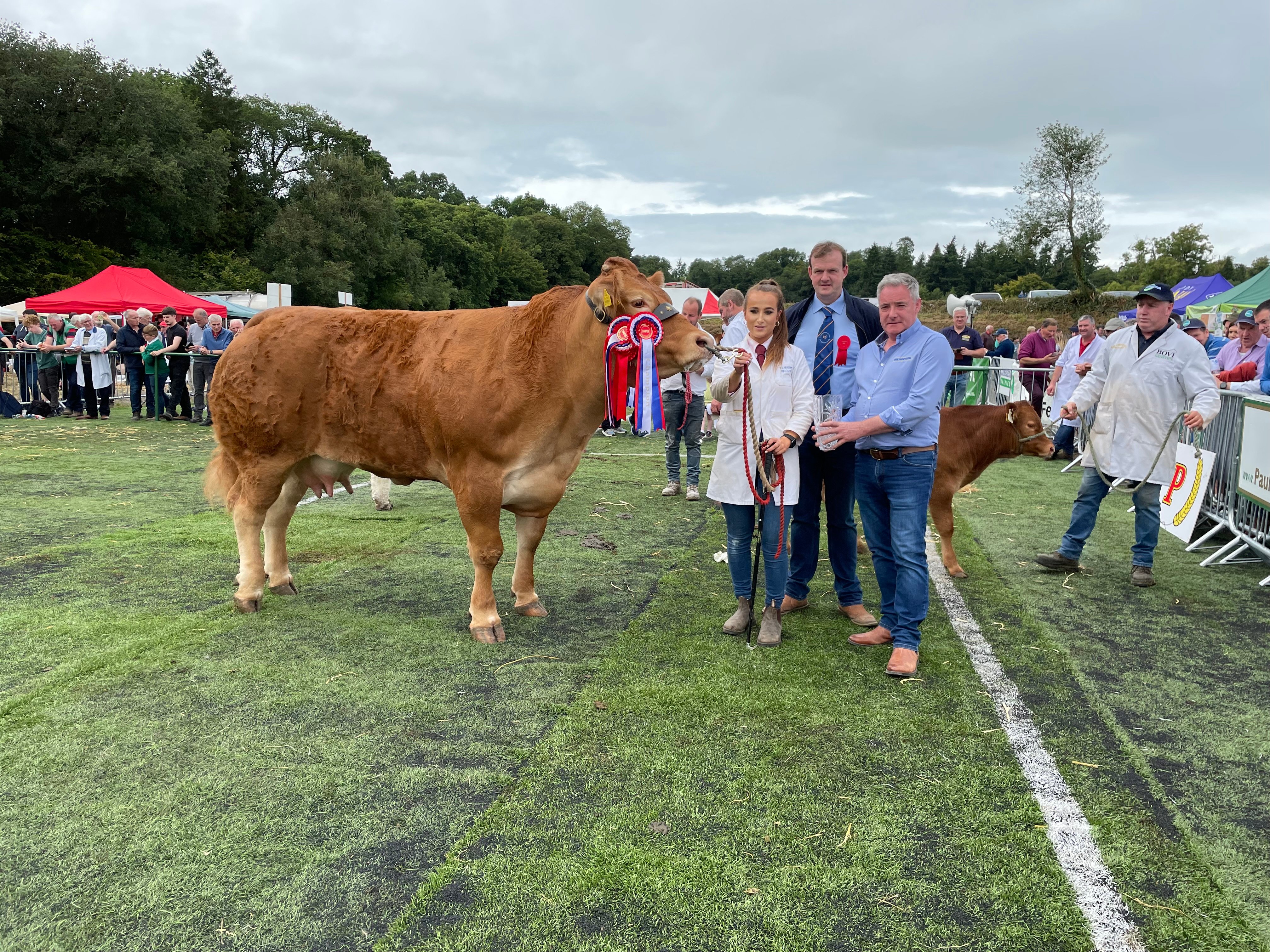 Interbreed Champion