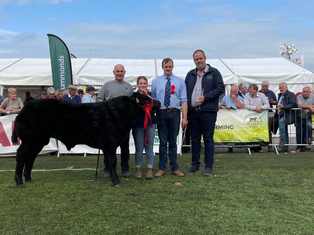 The Carnaross Mart All-Ireland Male Weanling Champion