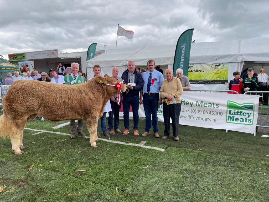 The Liffey Meats Champion Super Beef Bullock
