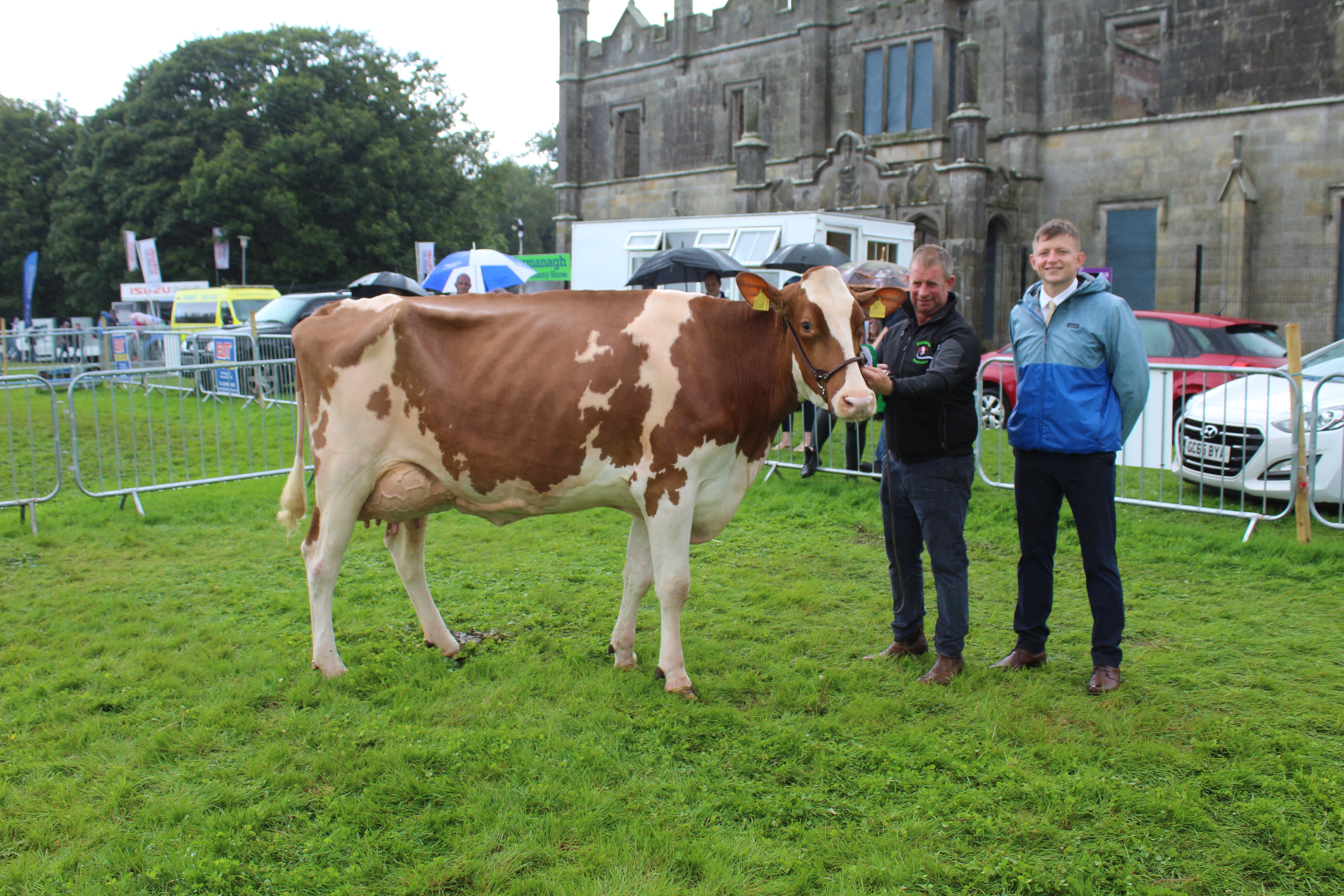 The dairy inter-breed champion at Fermanagh Show 2023