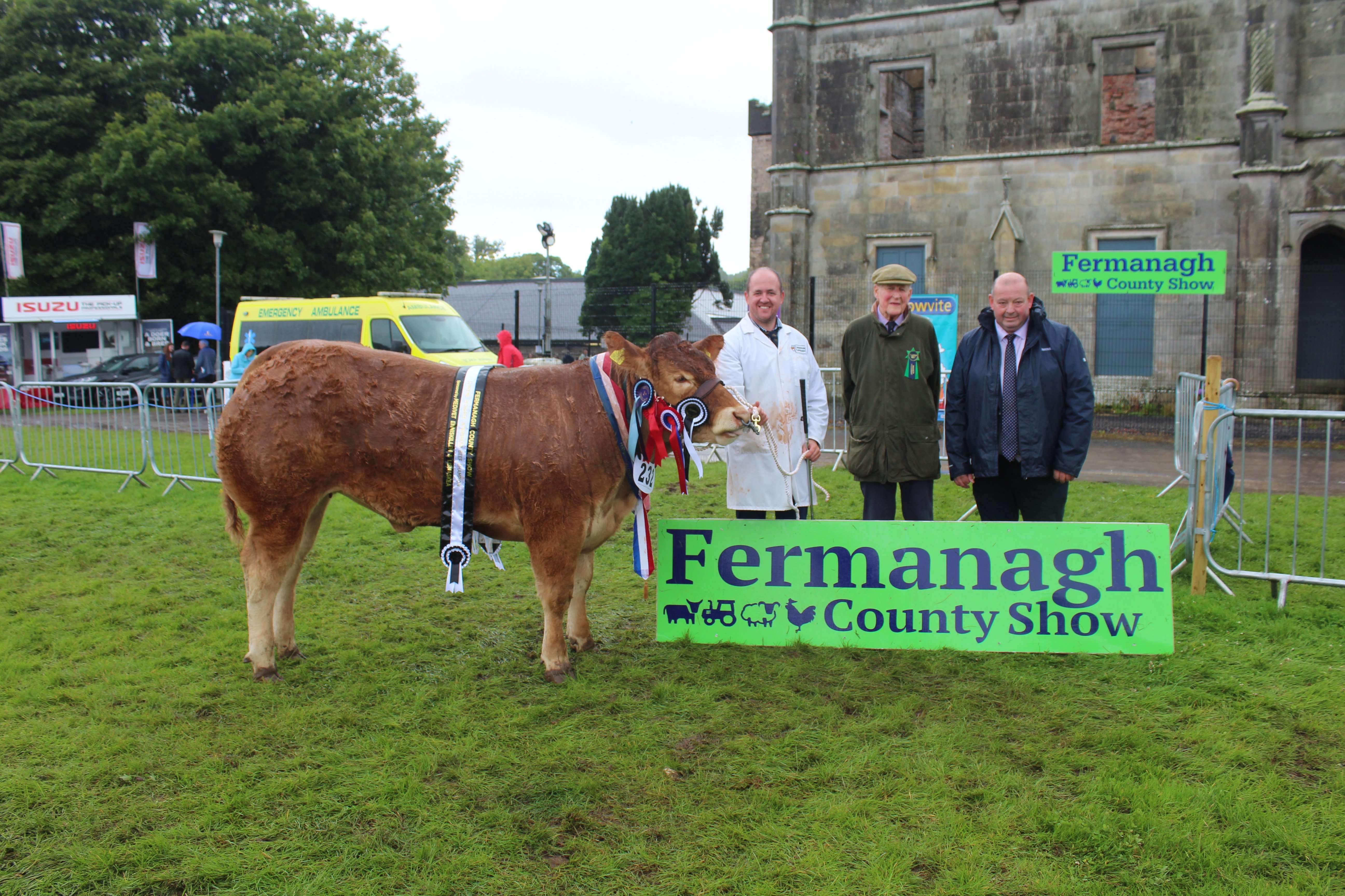 The beef inter-breed champion at Fermanagh Show 2023