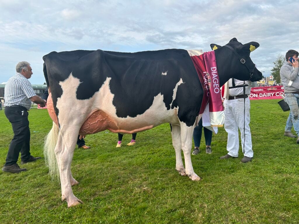 Bawnmore Pepper Almeric VG88
